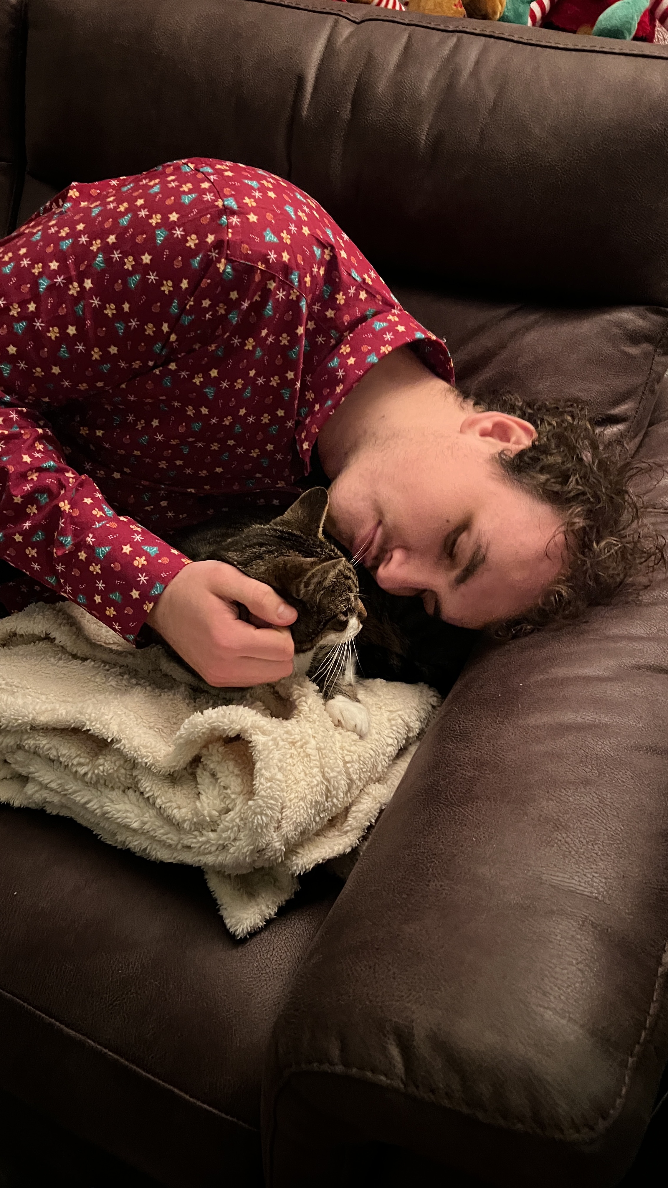 image-8