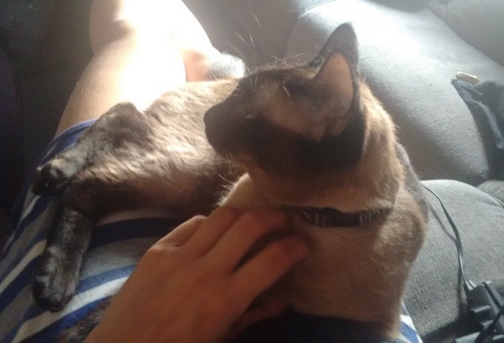 image-8