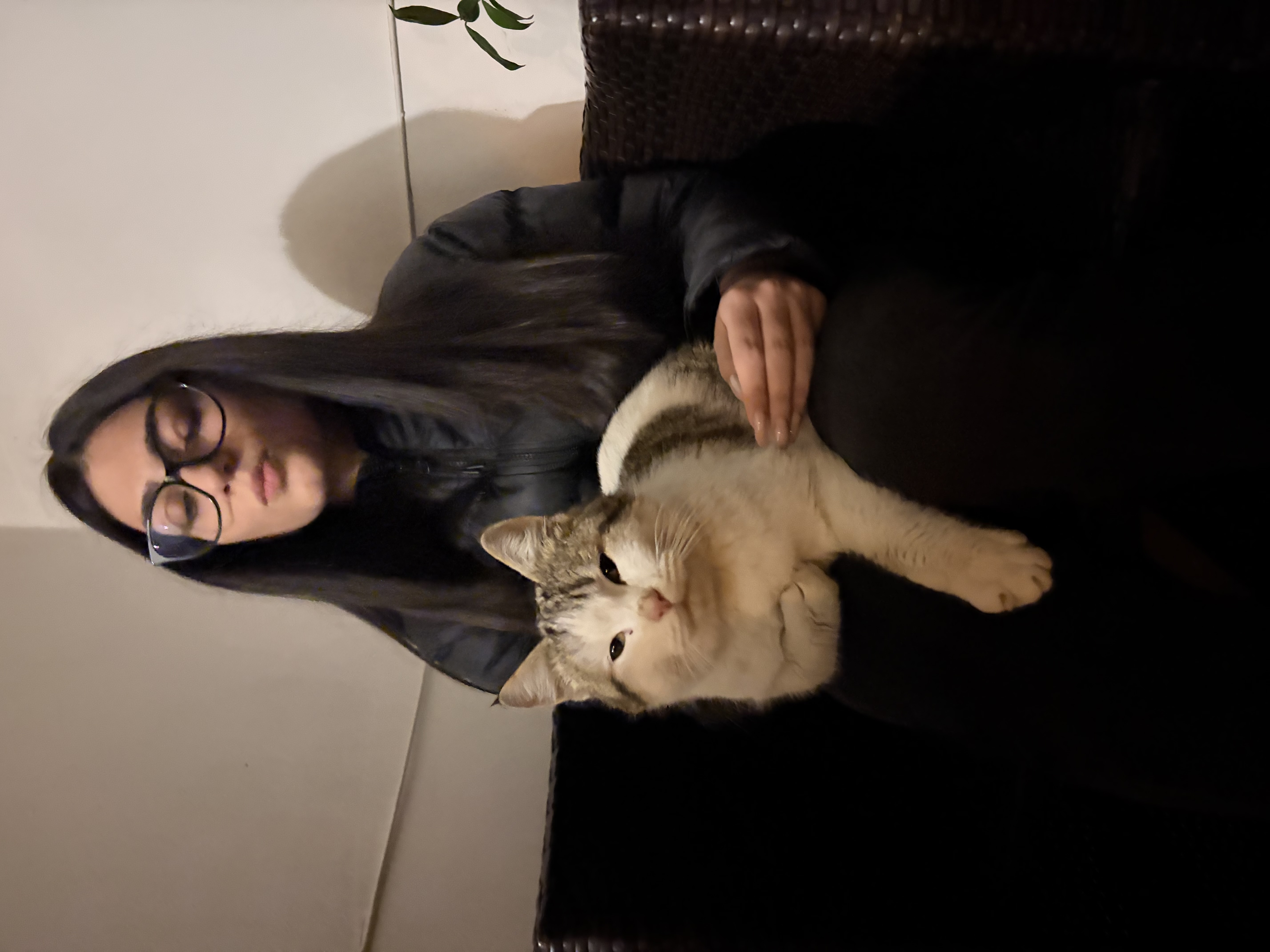 image-7