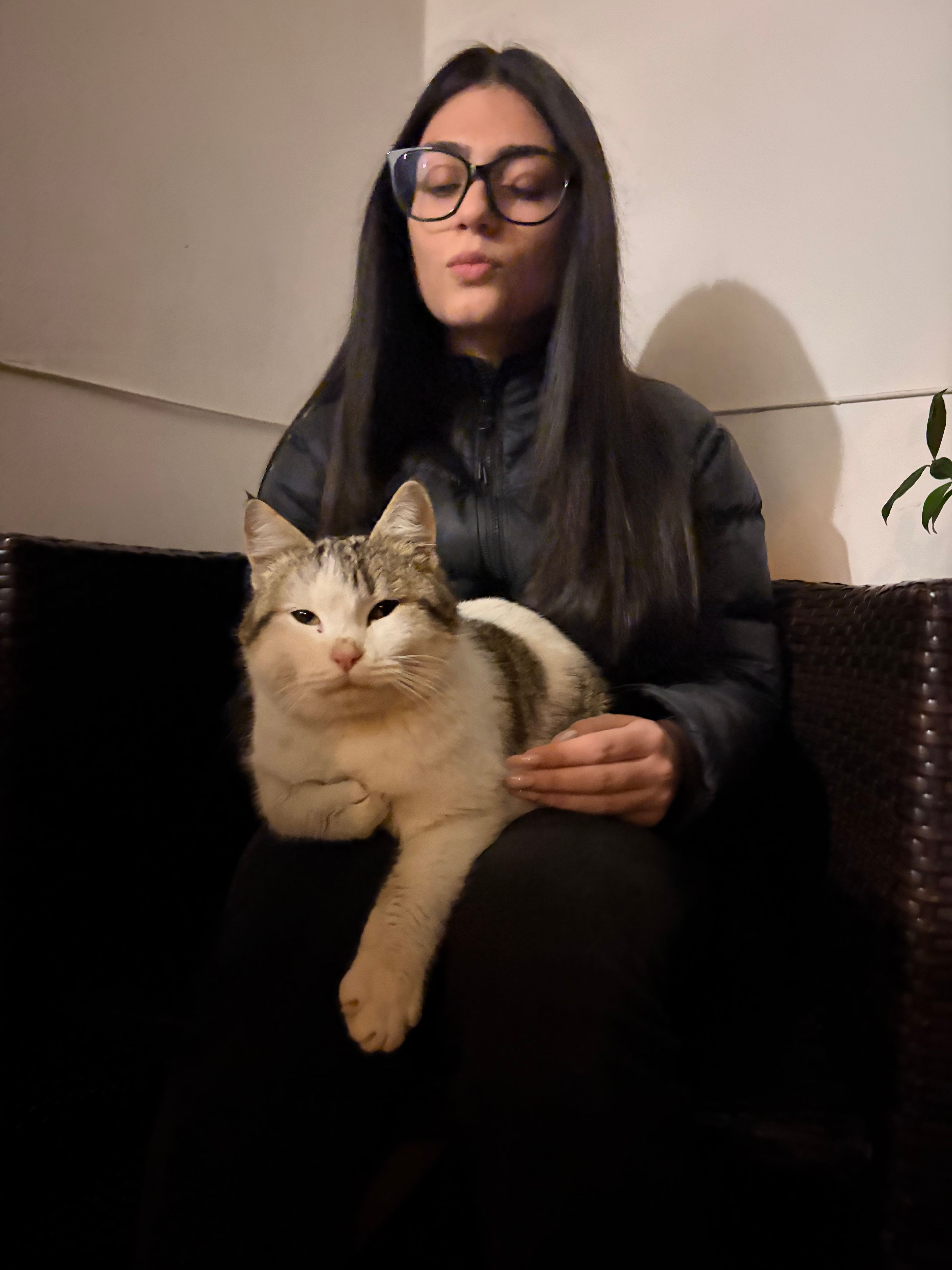 image-7
