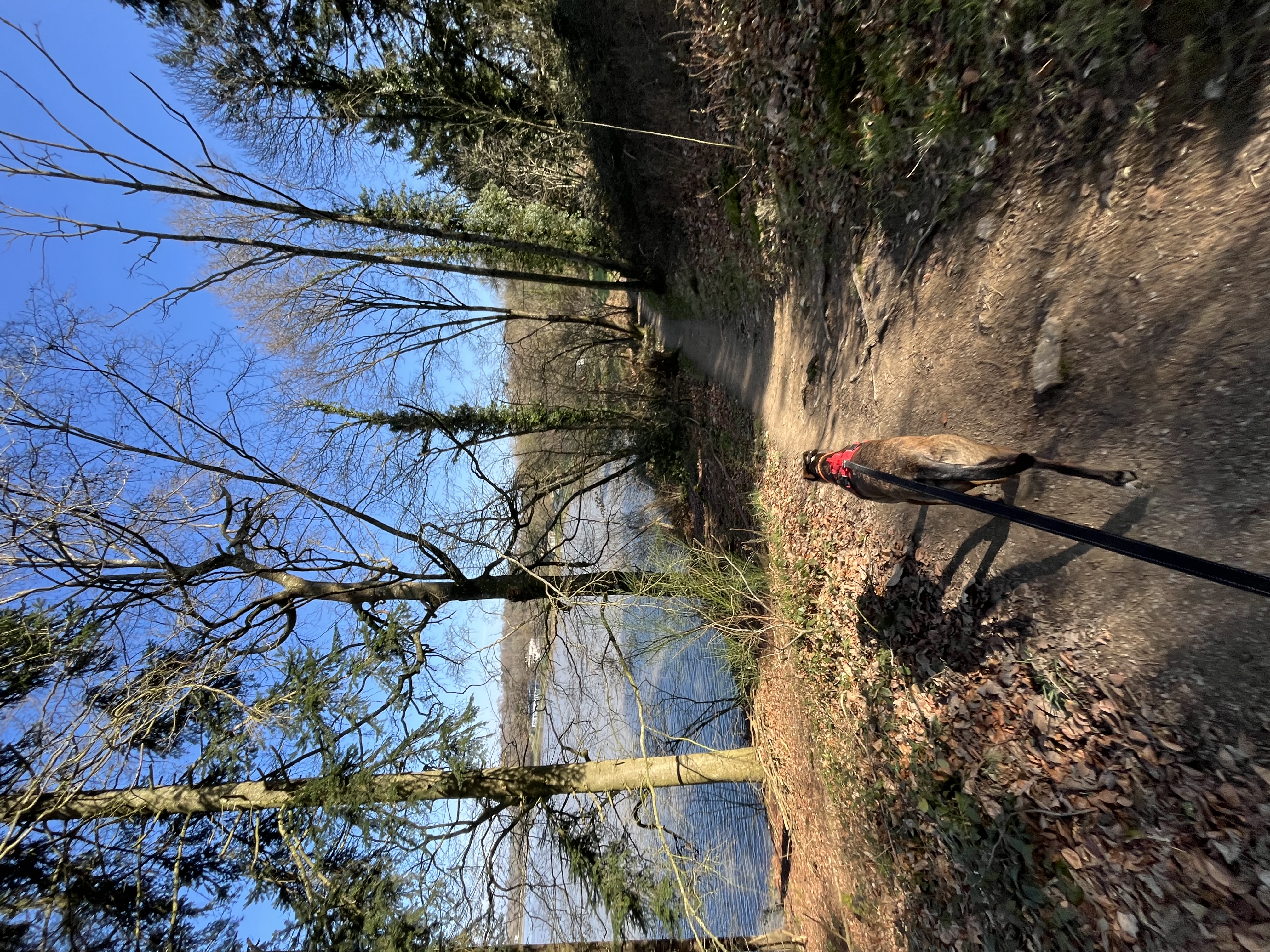 image-8