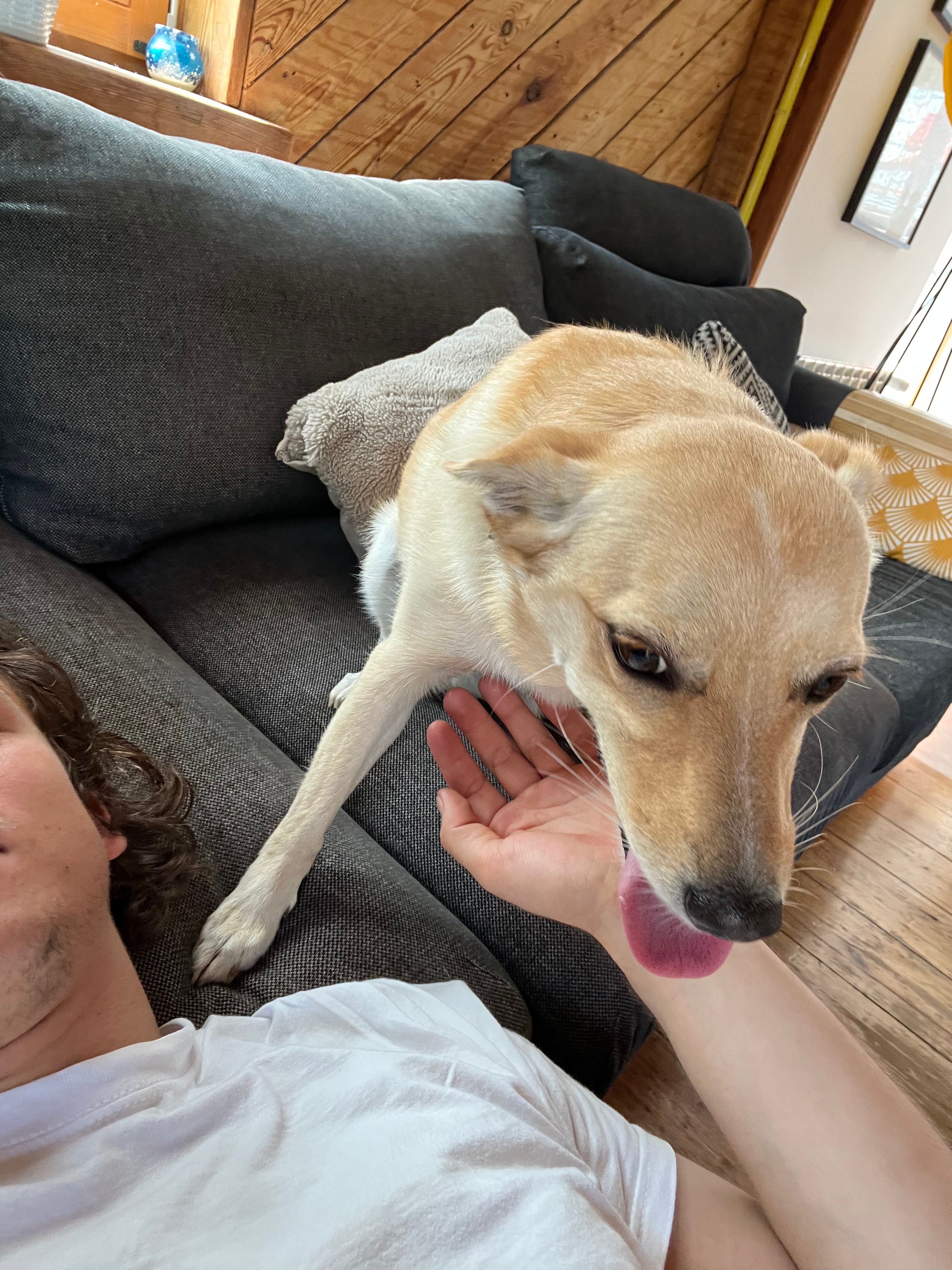 image-10