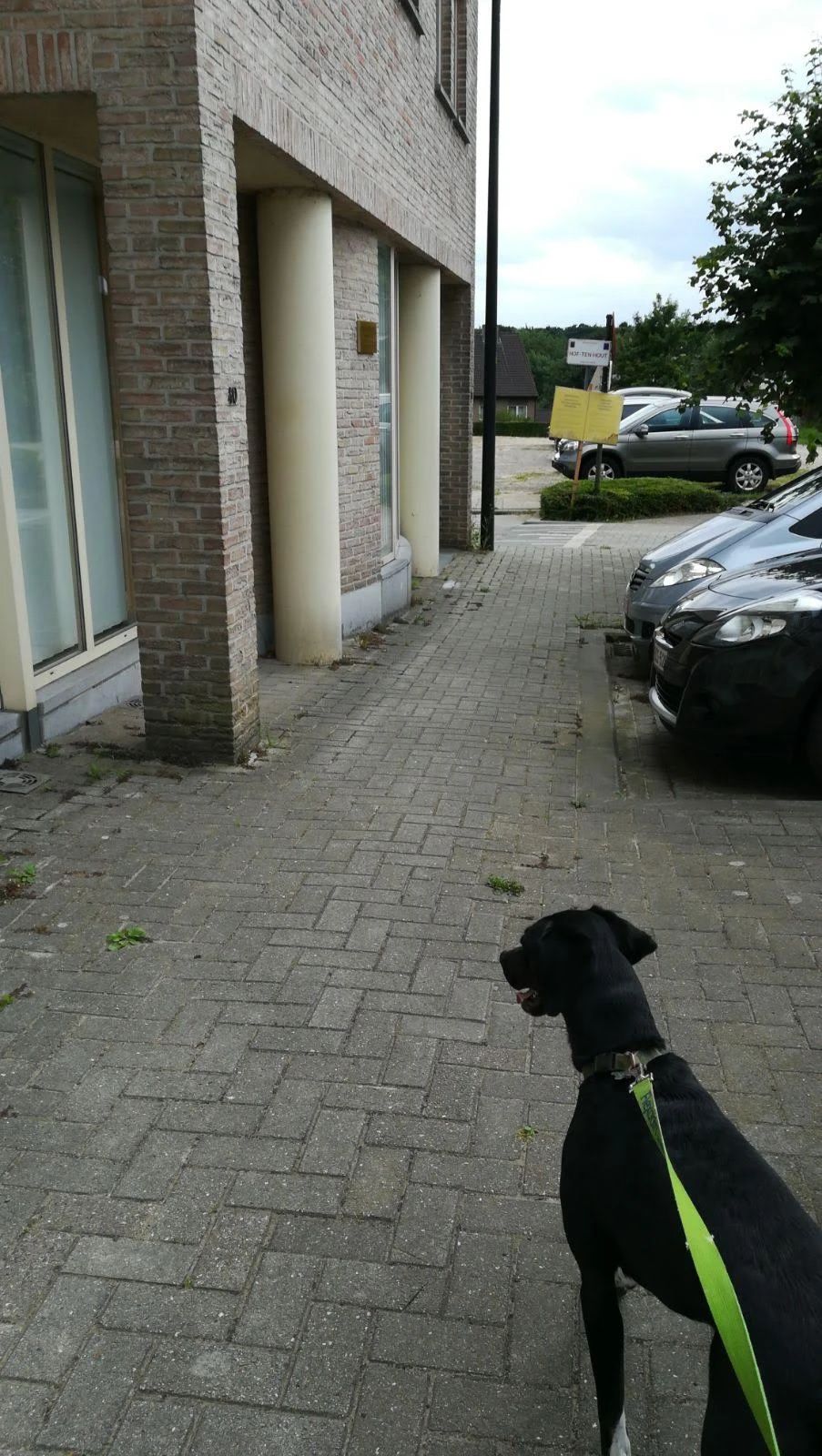 image-3