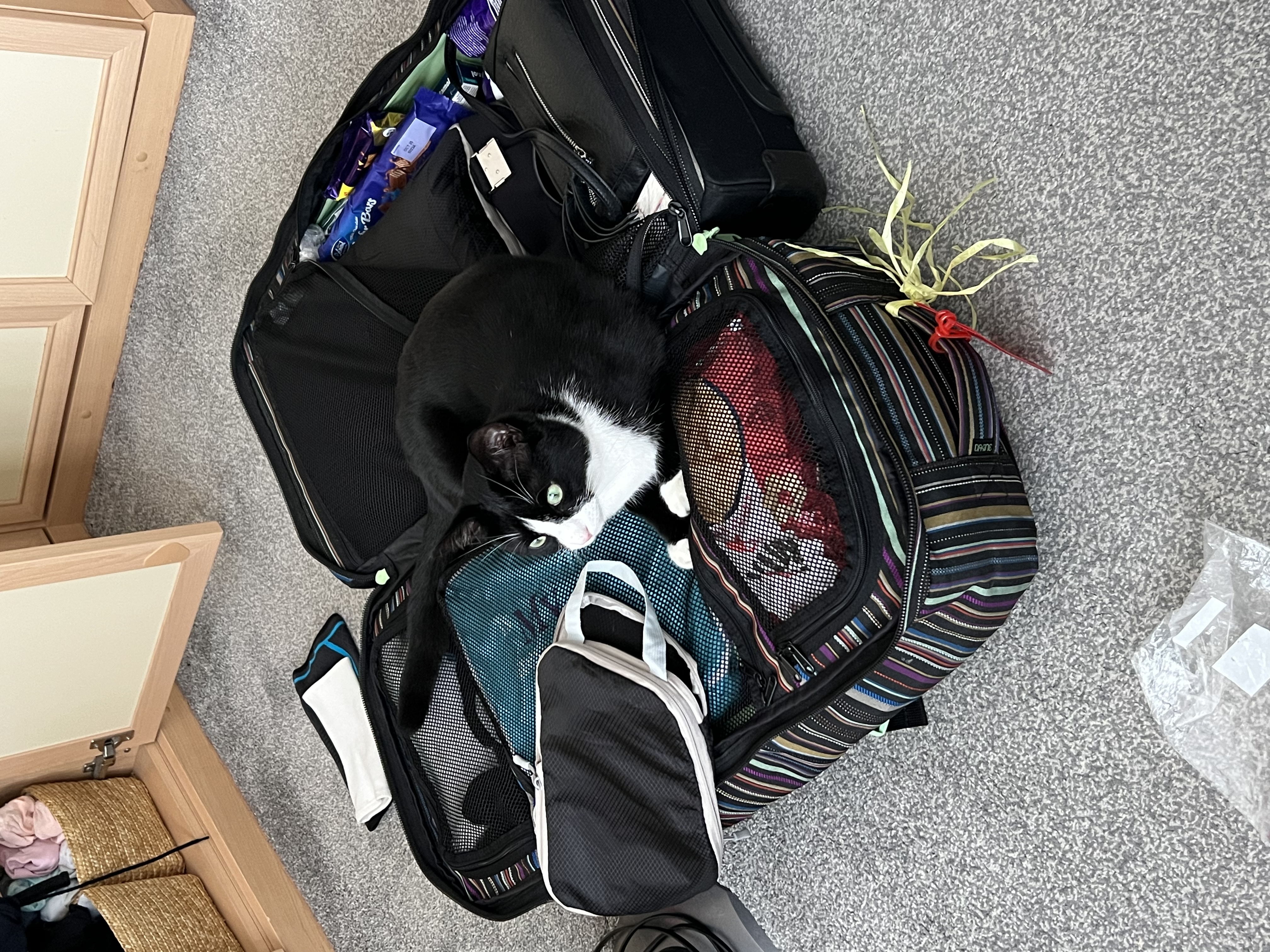 image-19