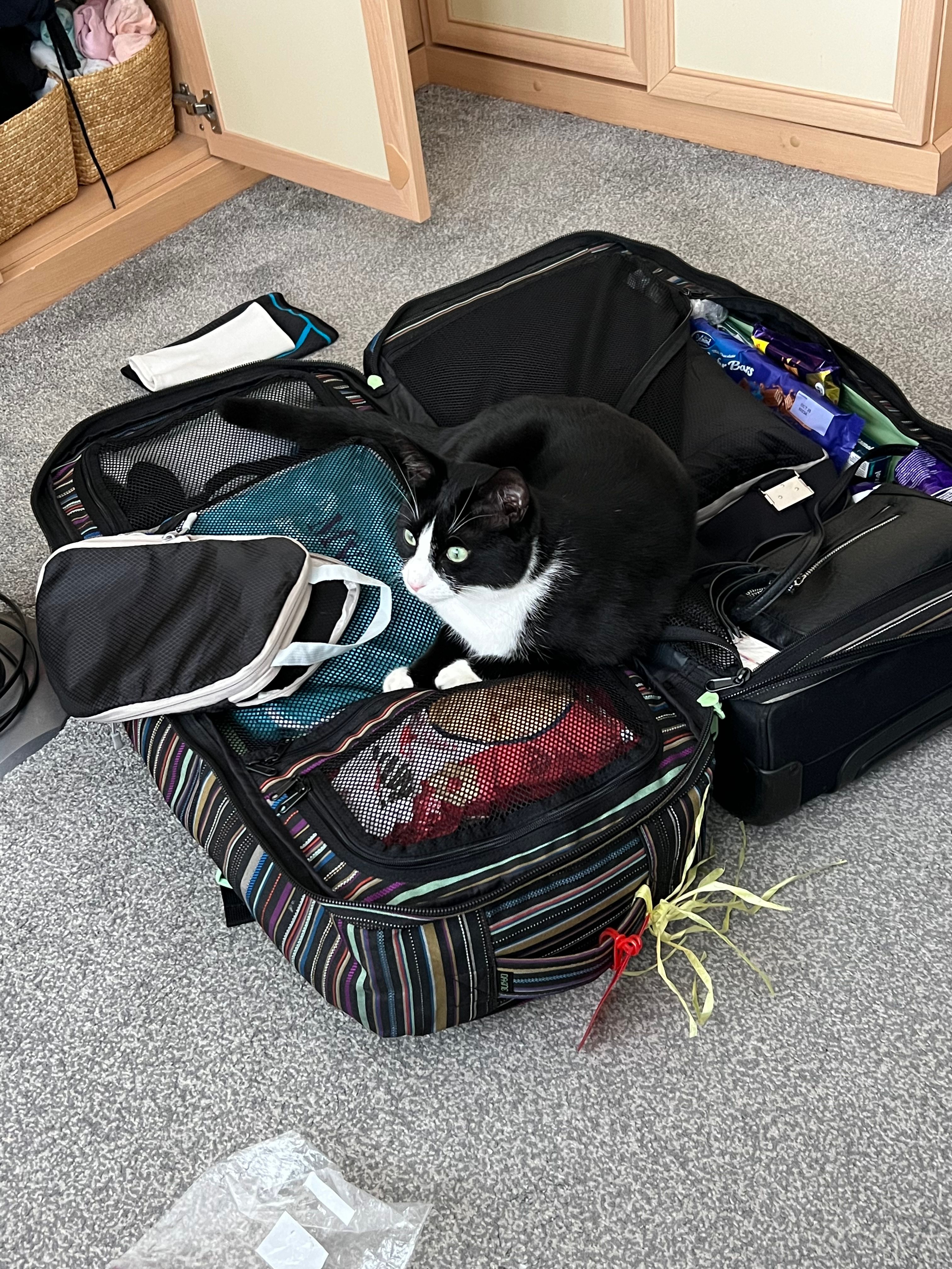 image-19