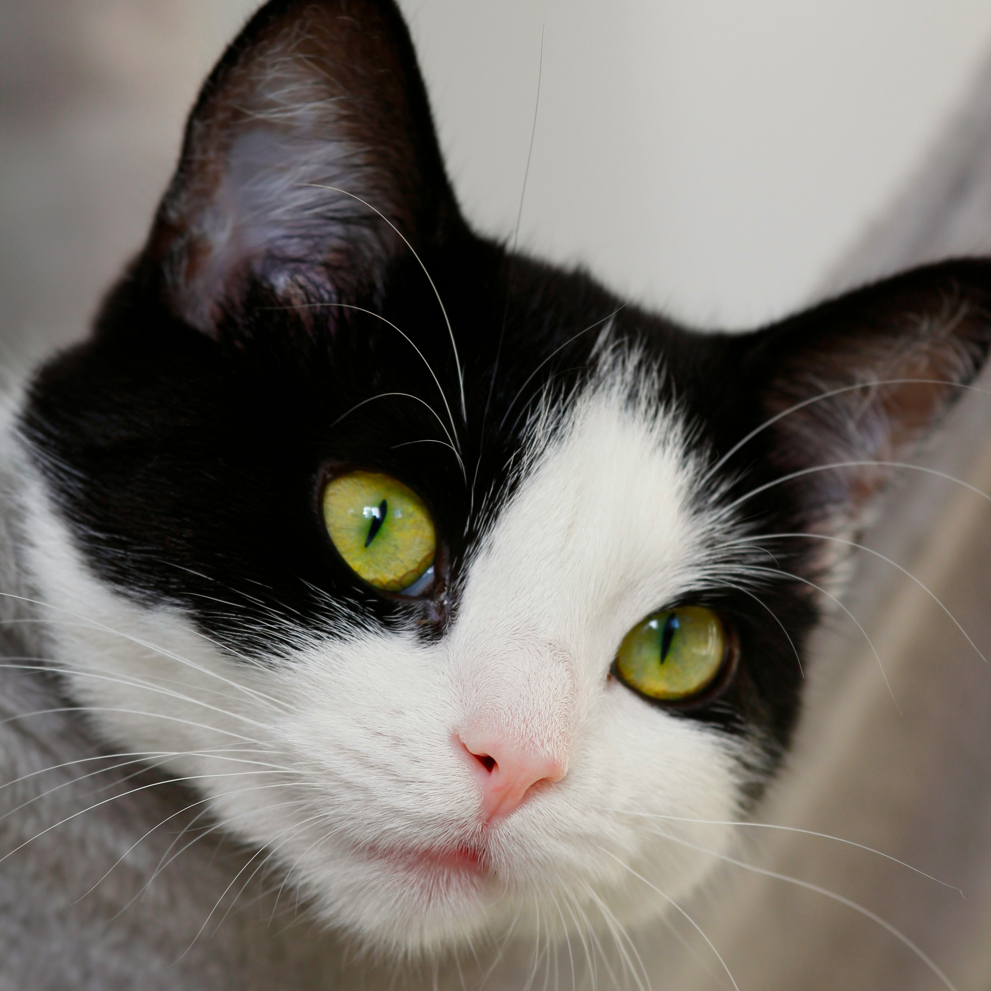 Syksy