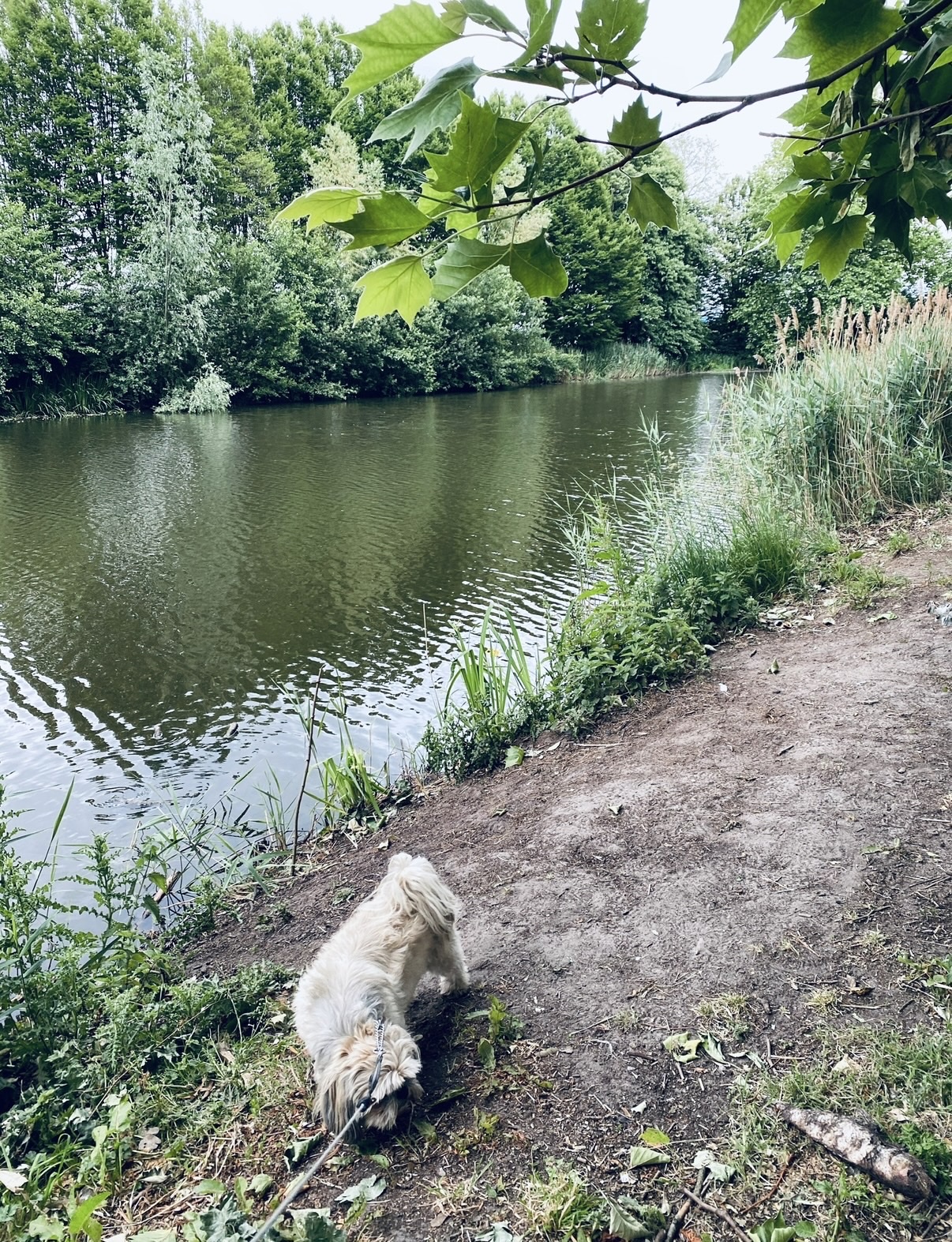 image-10