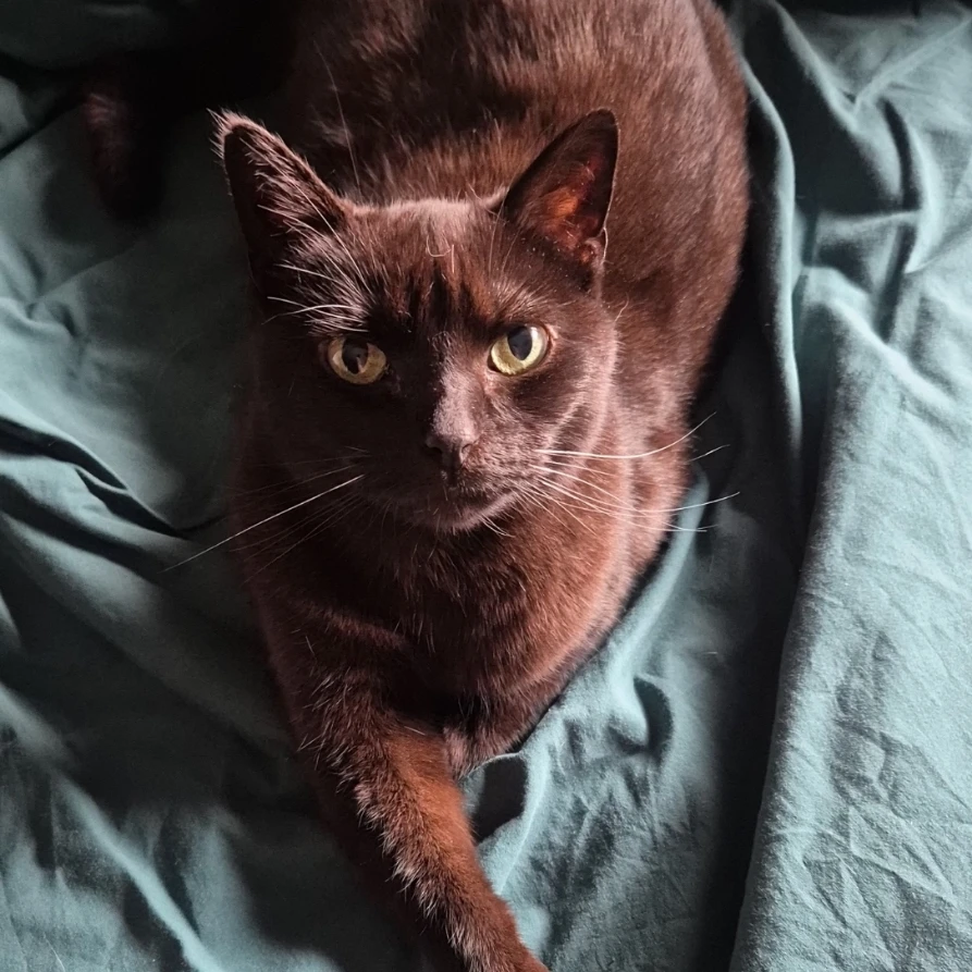 Jukka