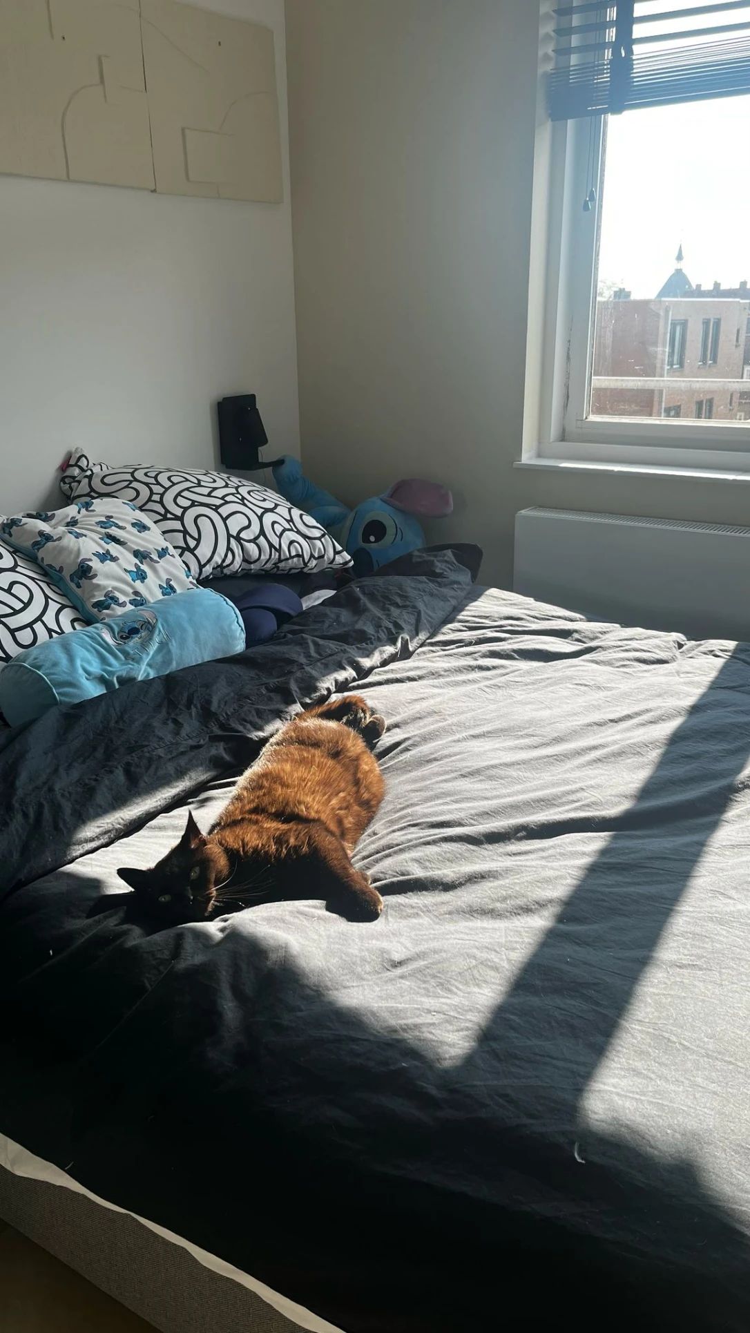 image-14