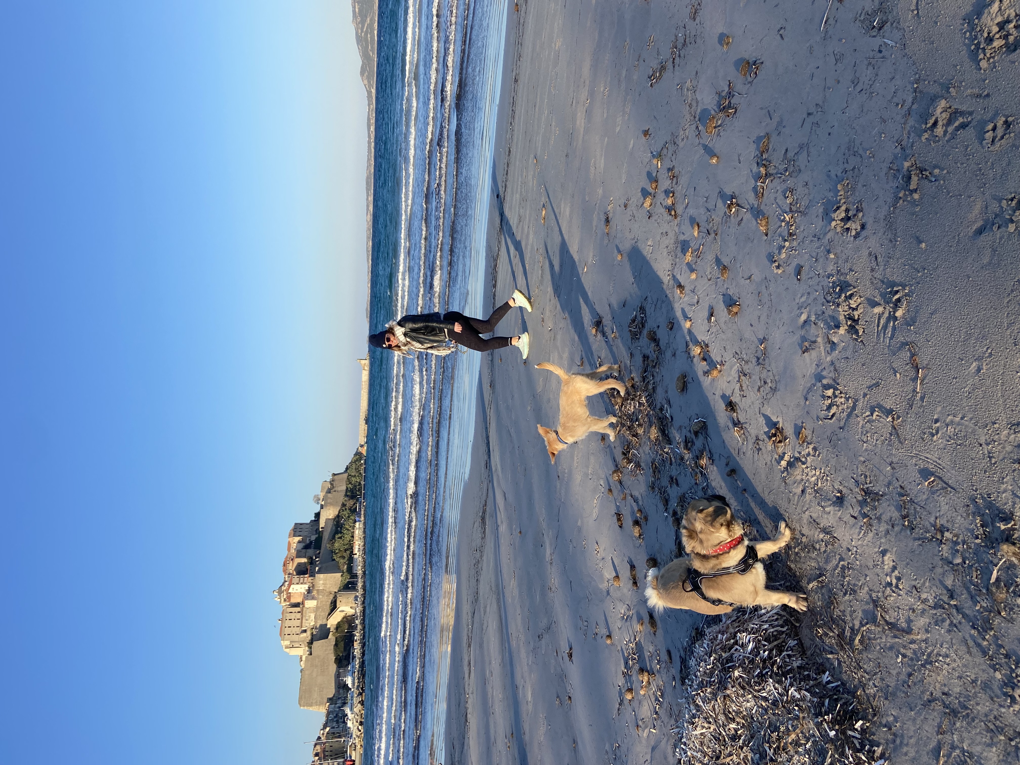 image-16