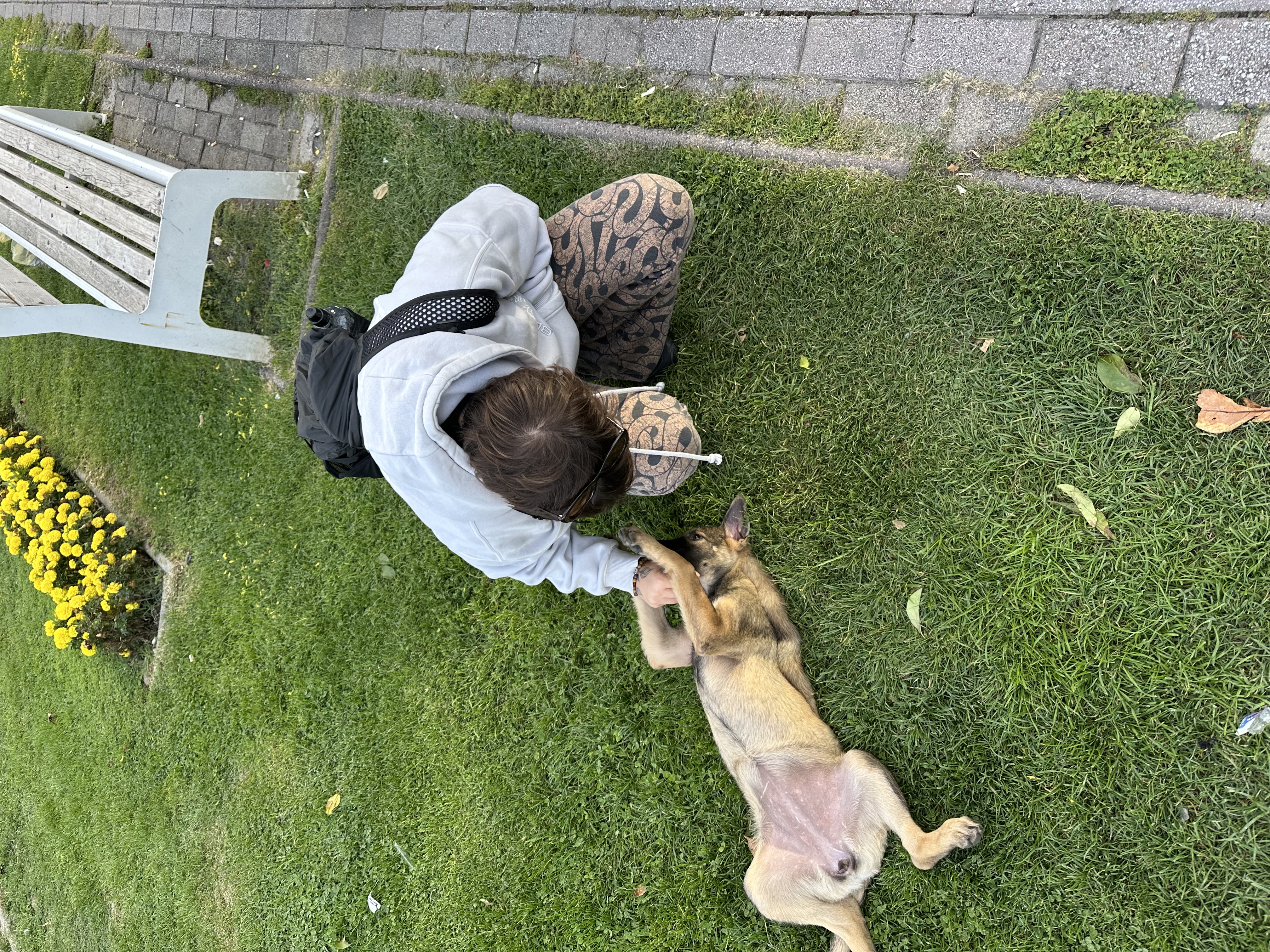 image-5