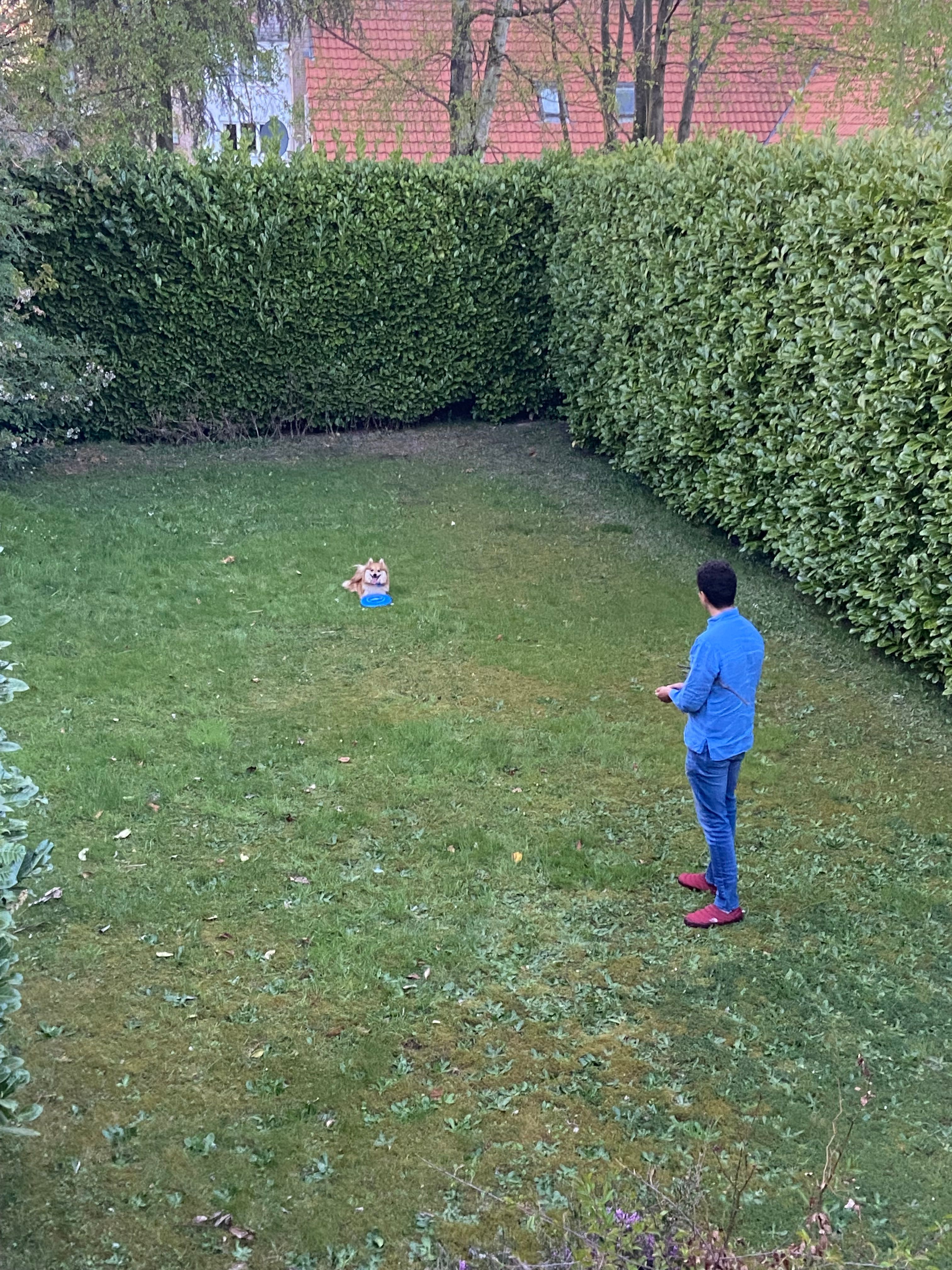 image-4