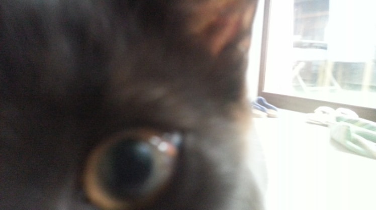 image-5