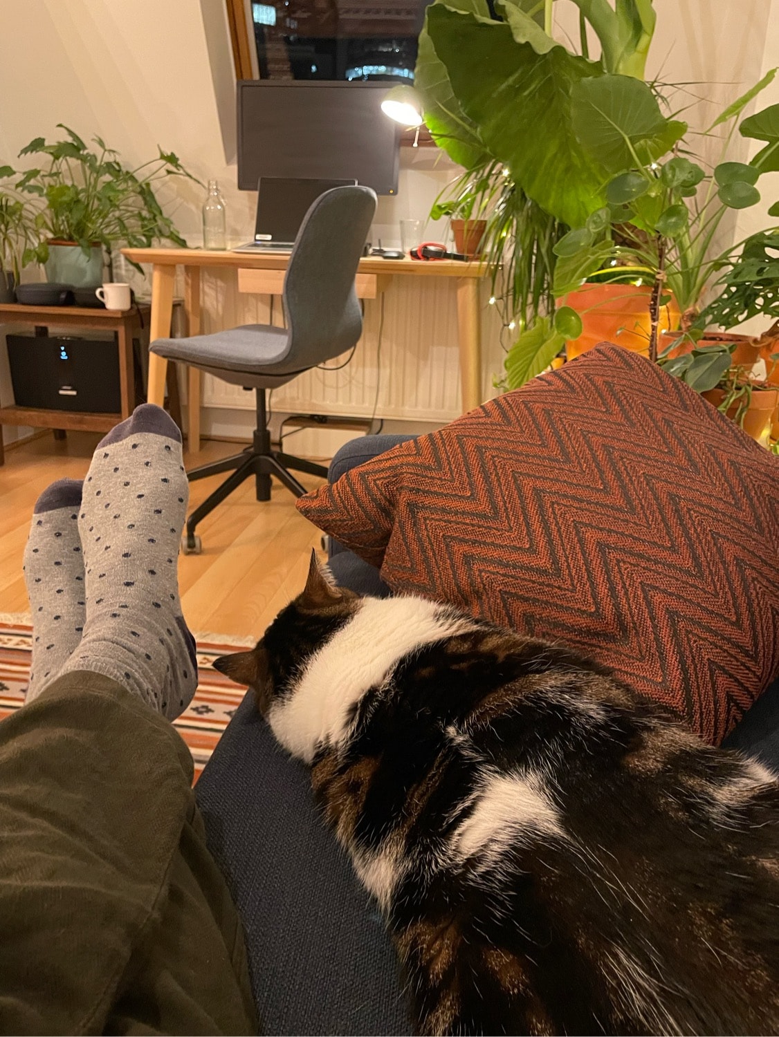 image-8