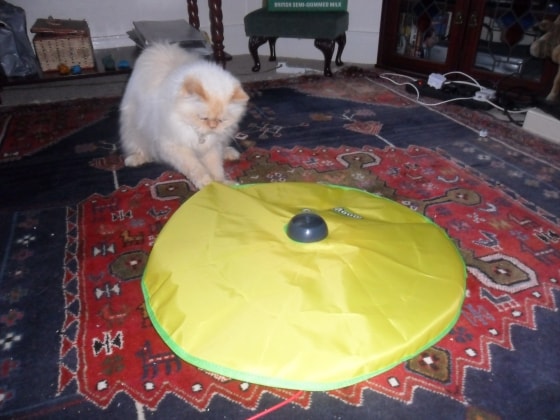 image-6