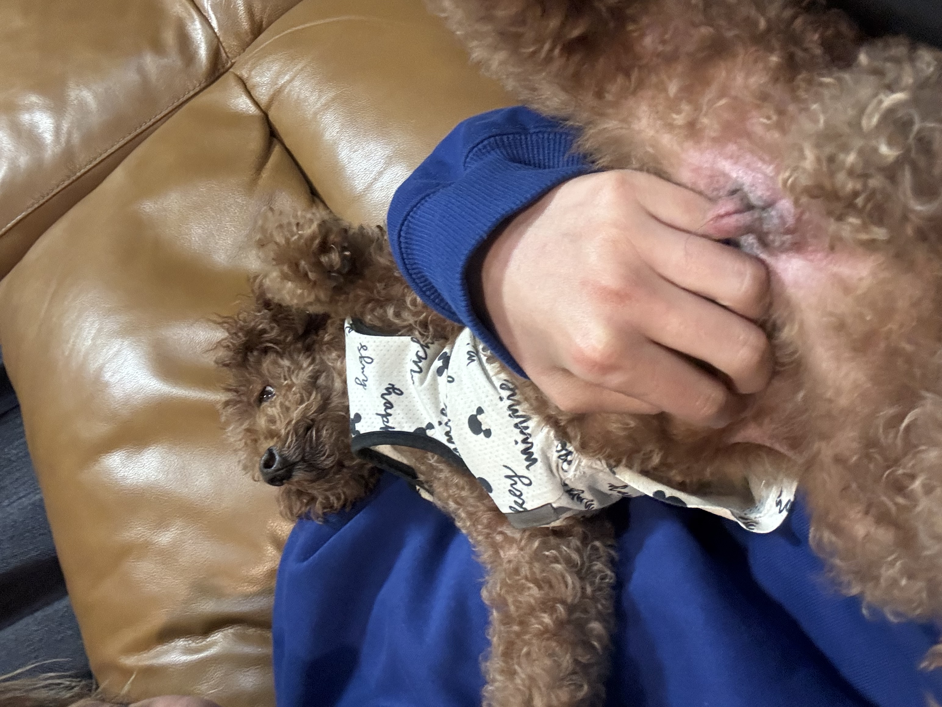image-6