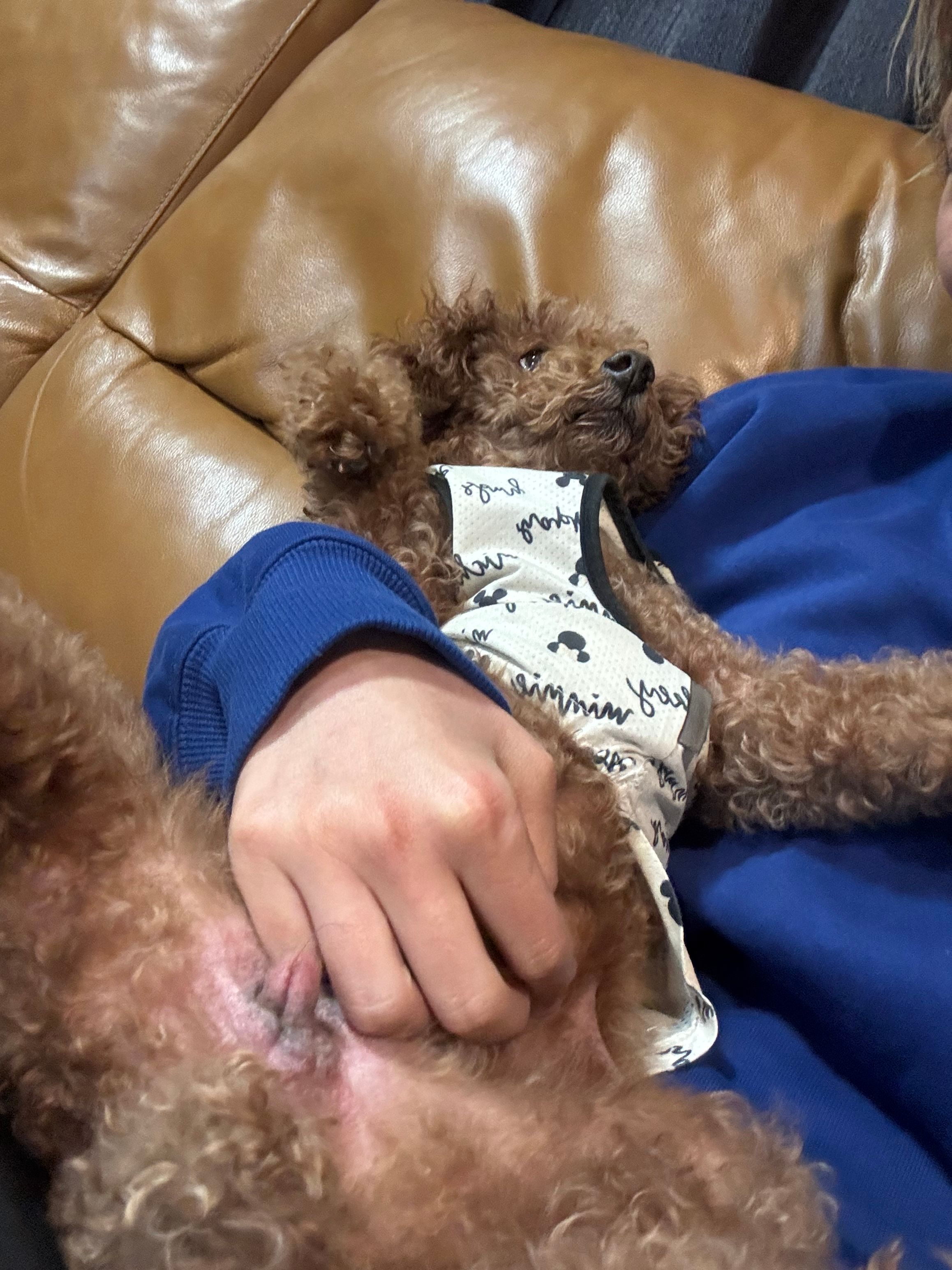 image-6