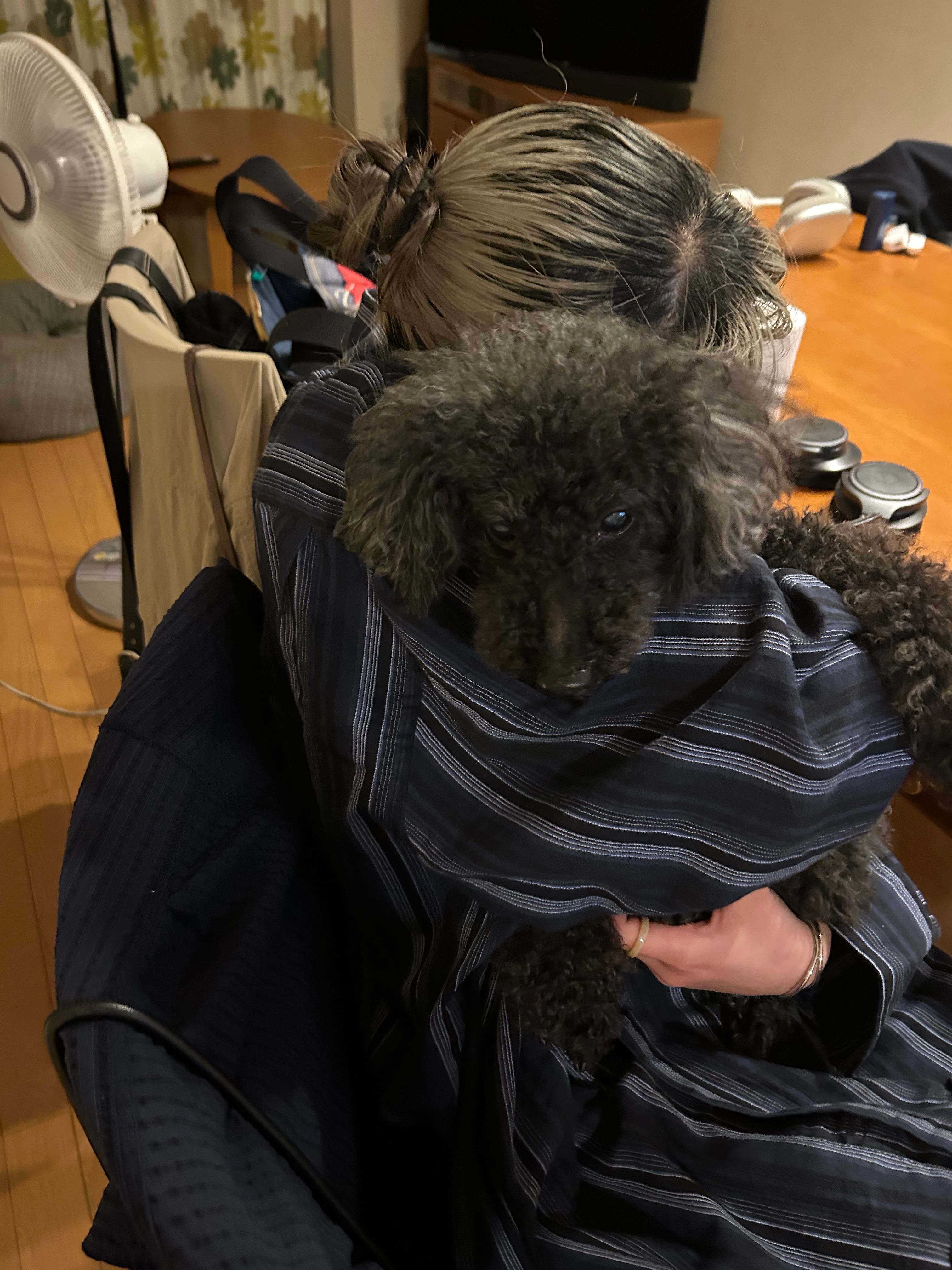 image-7