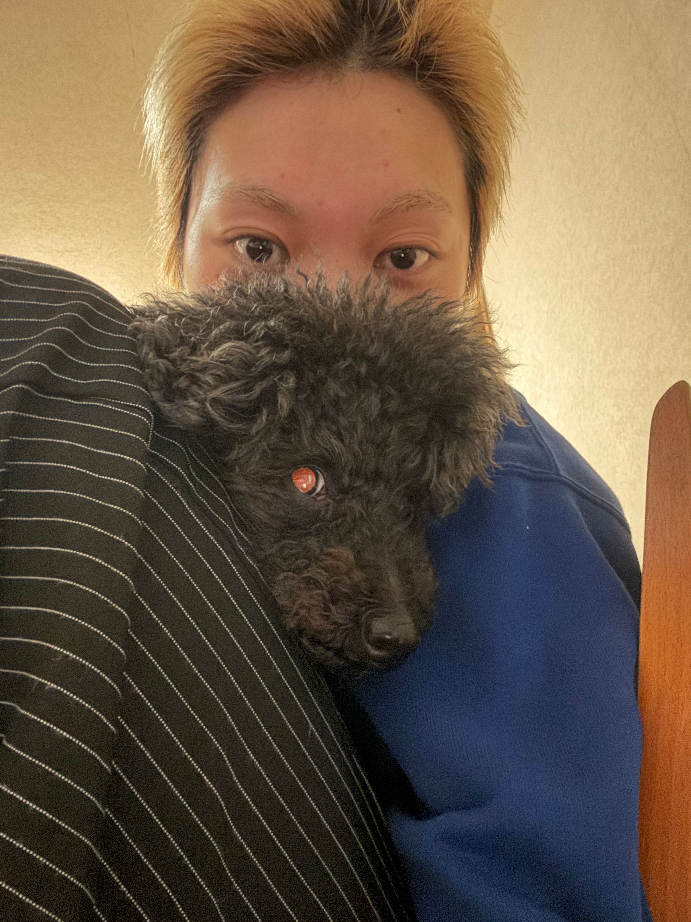 image-3
