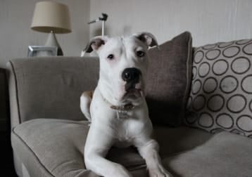 Skye