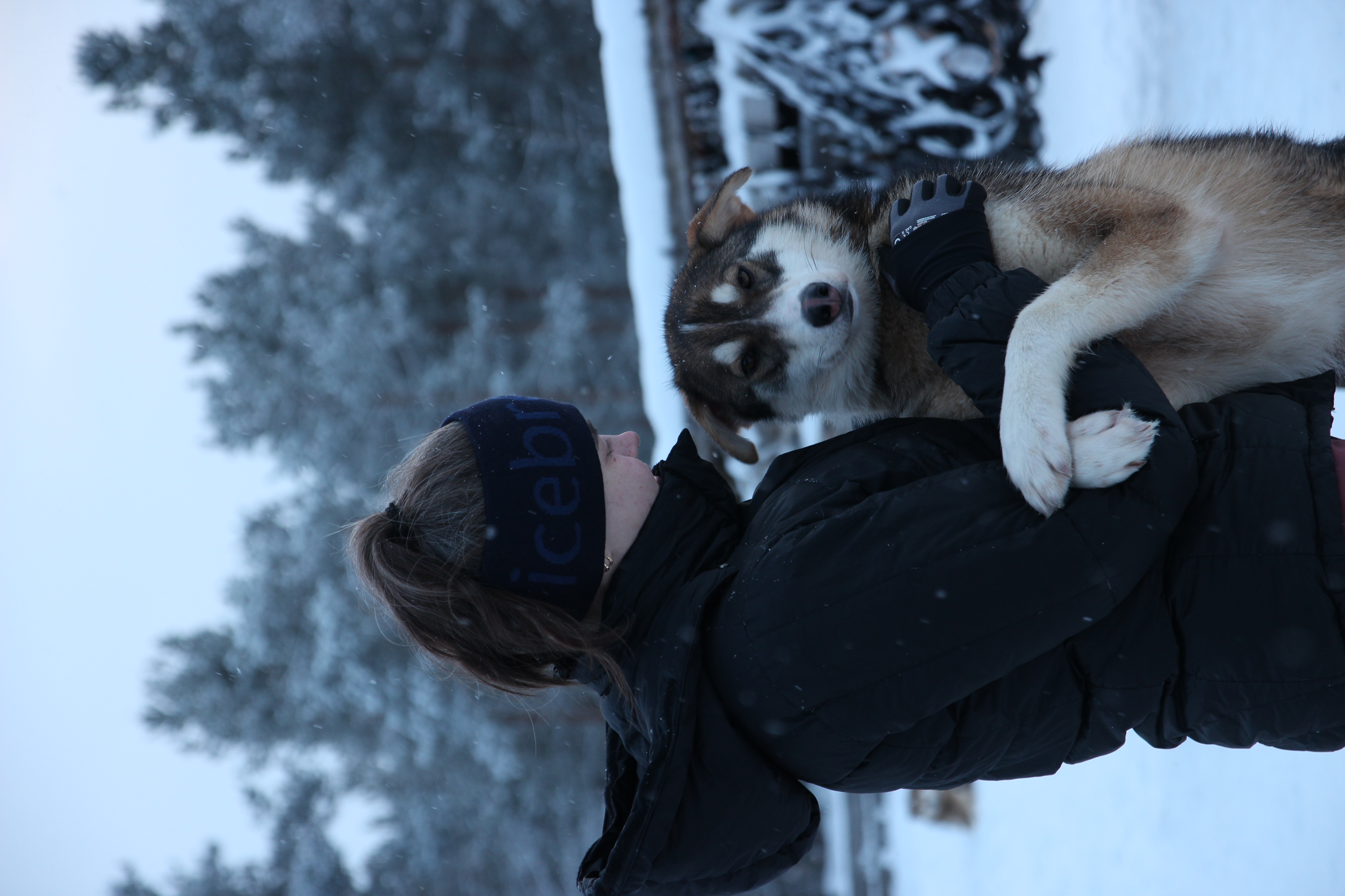 image-6