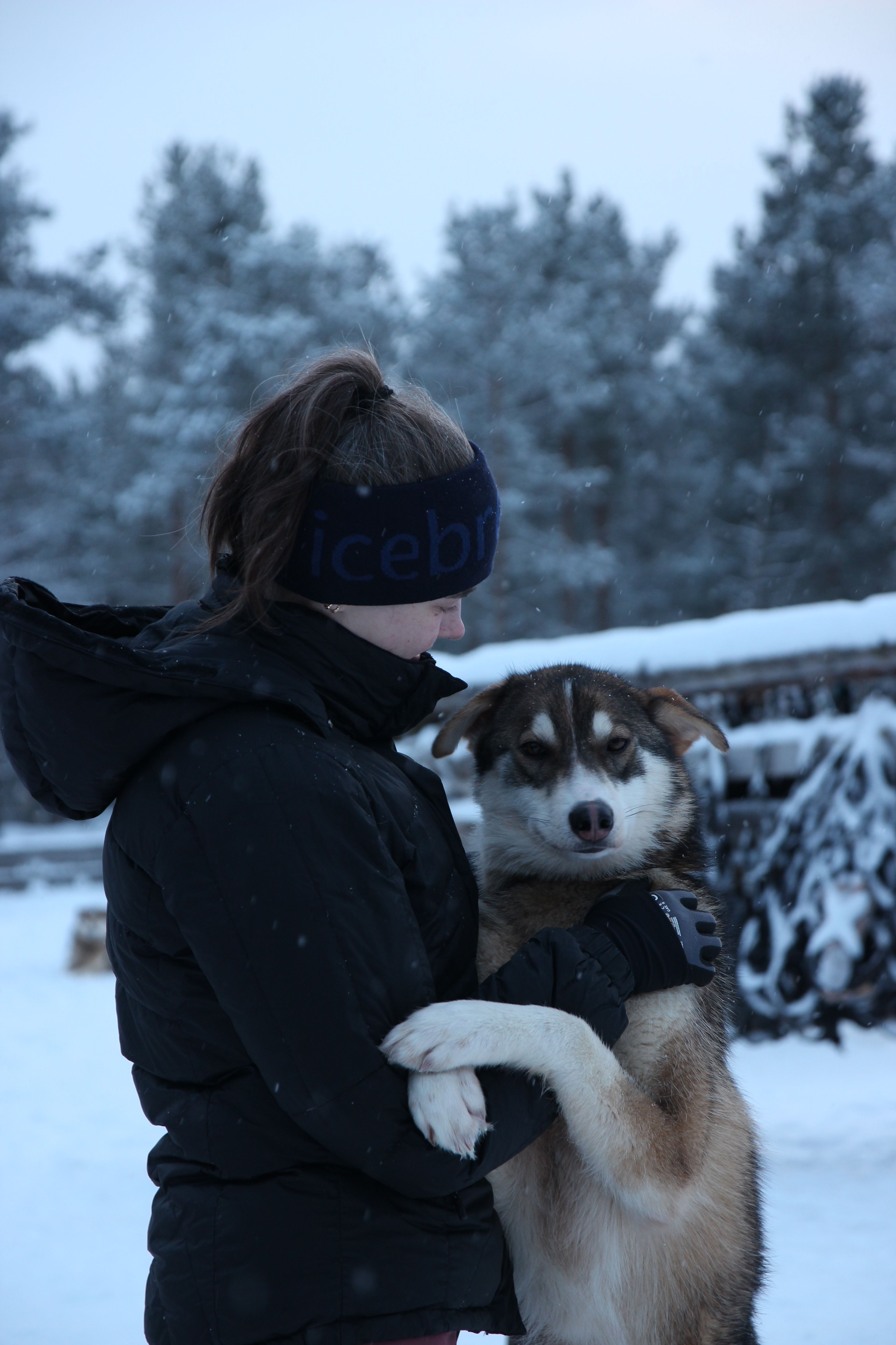 image-6
