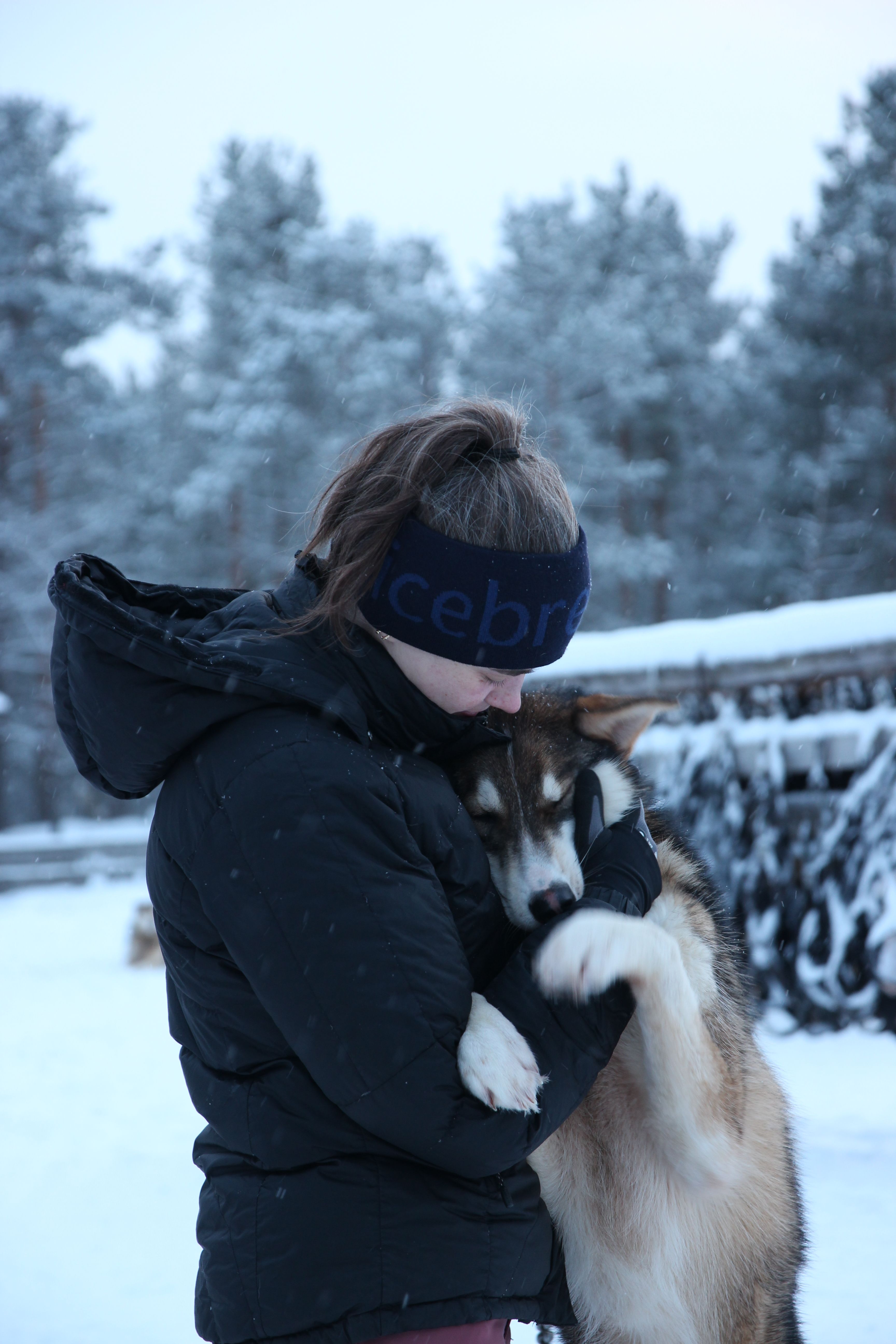 image-5