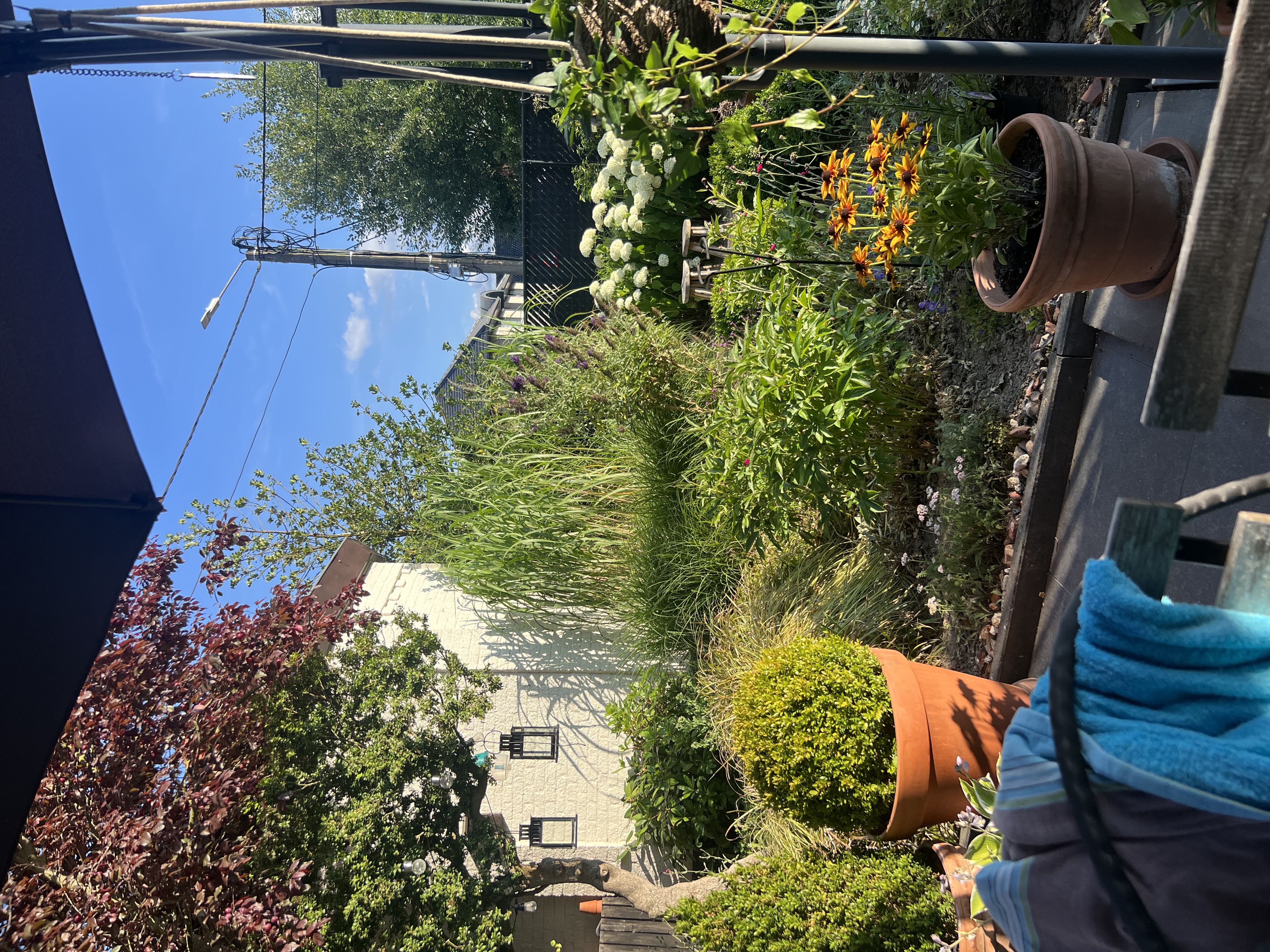 image-18