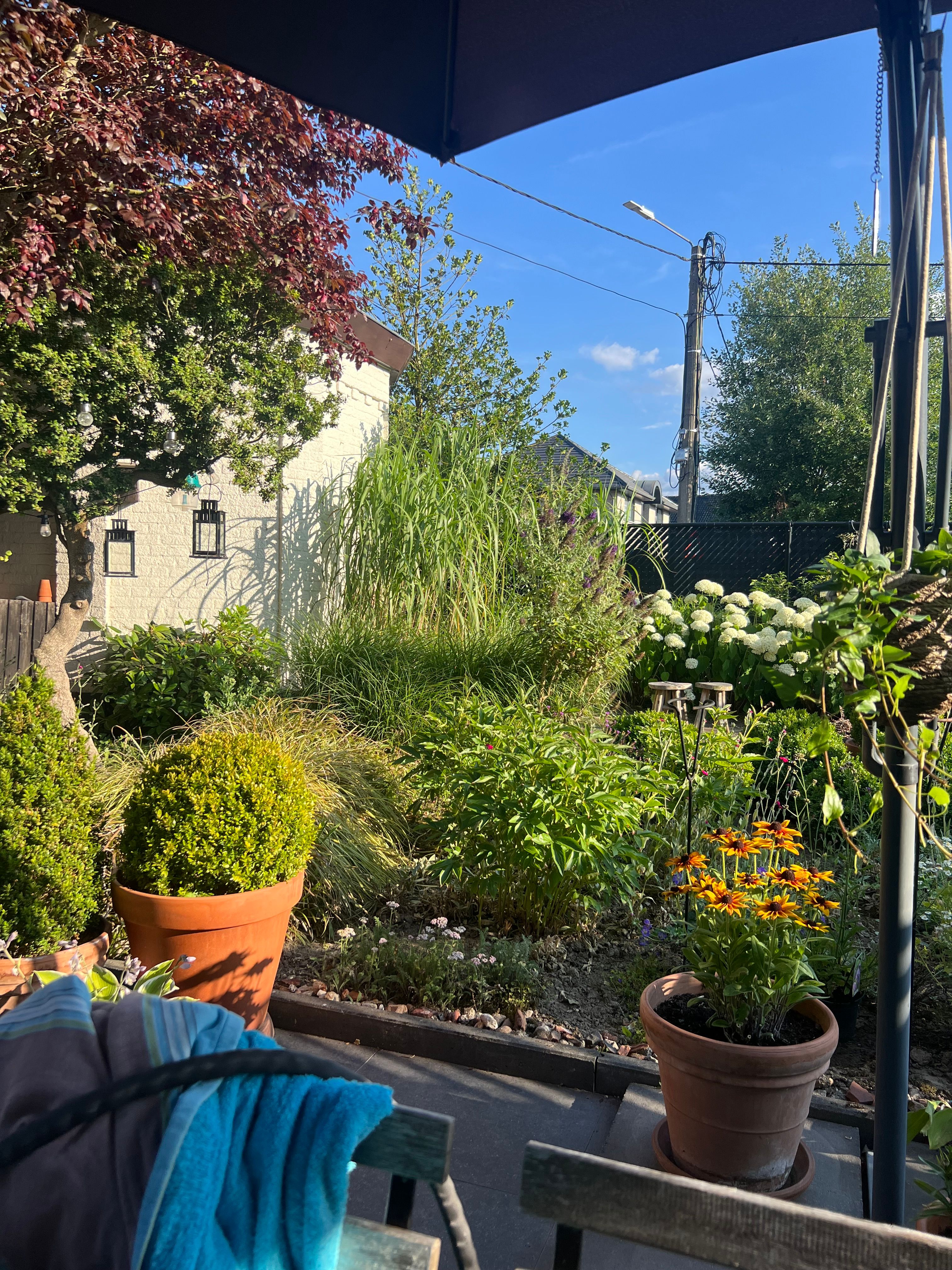 image-18