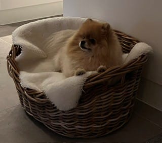 image-2