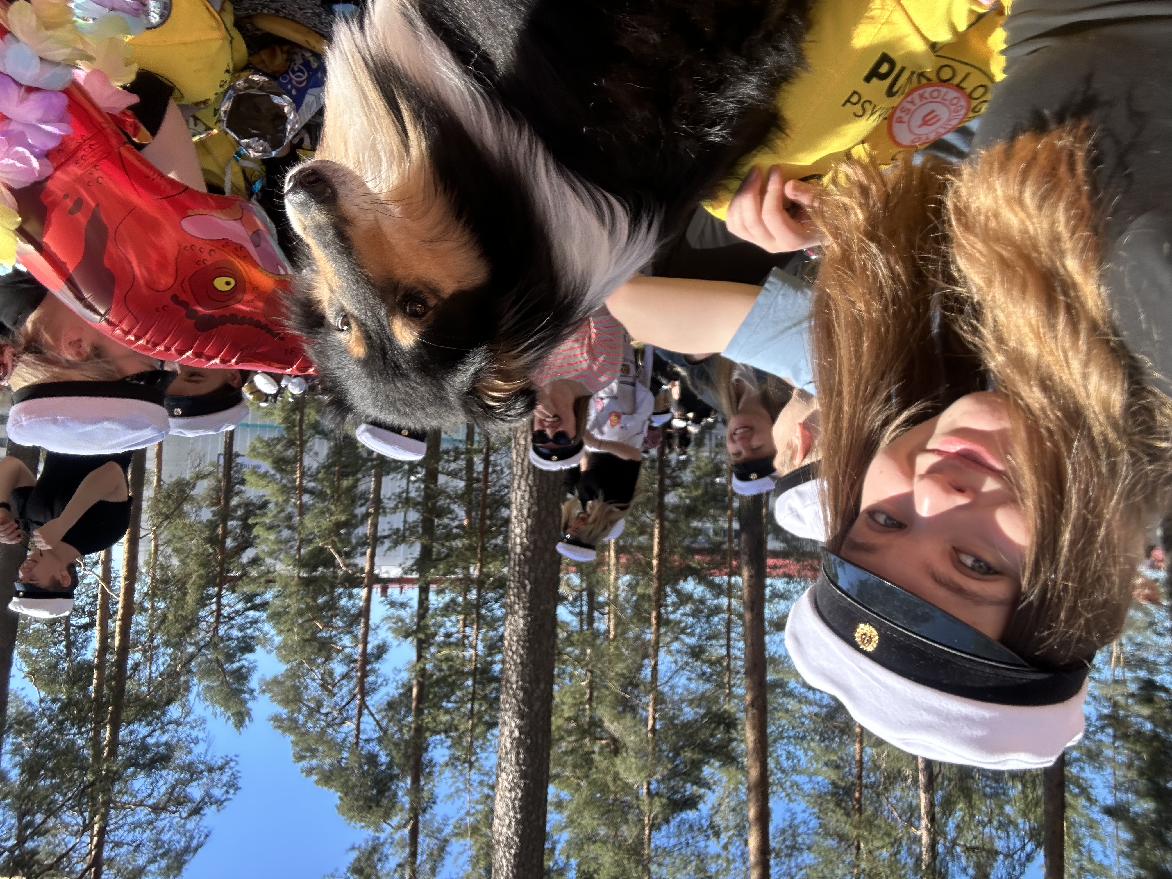 image-6