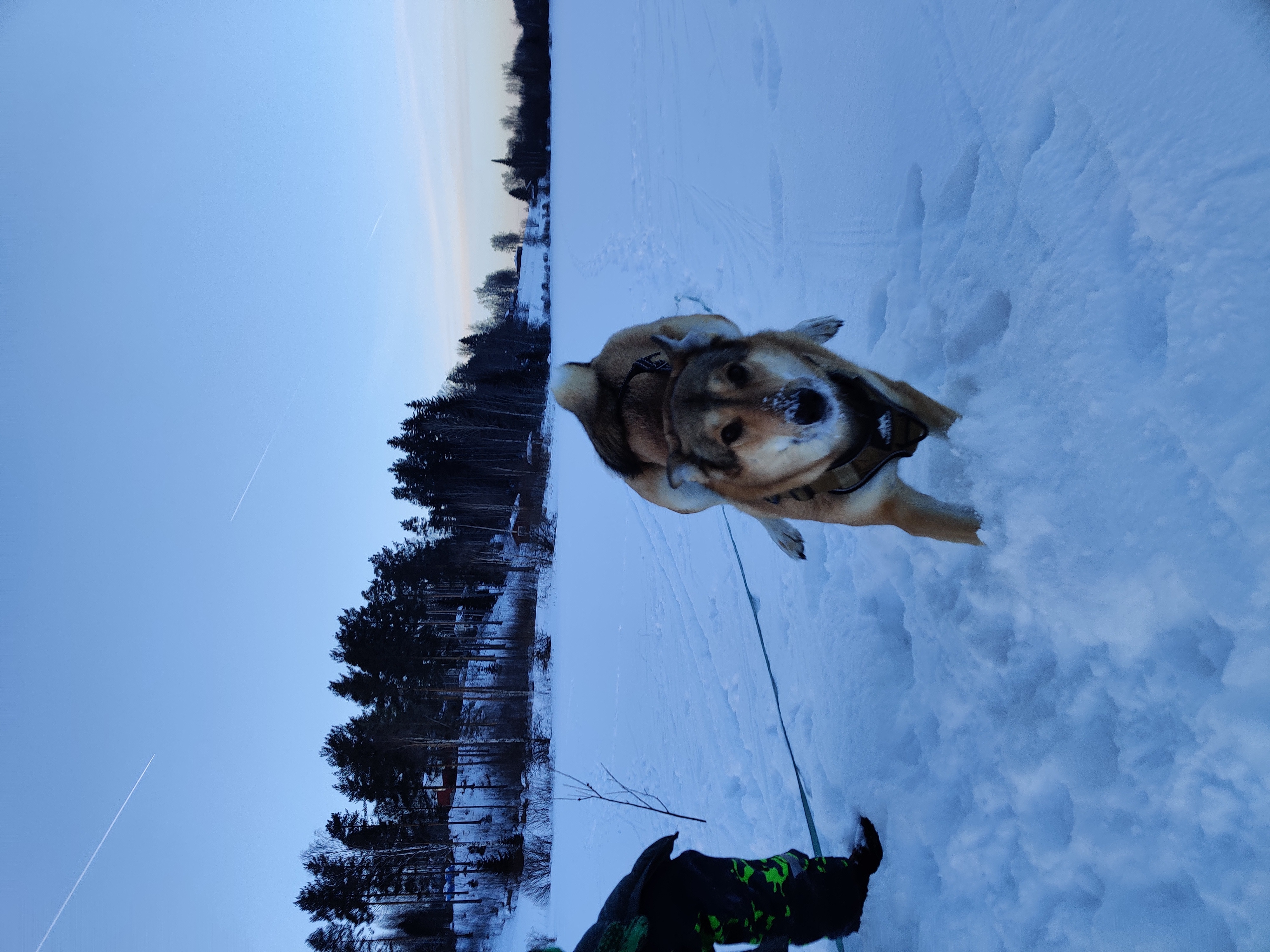 image-11