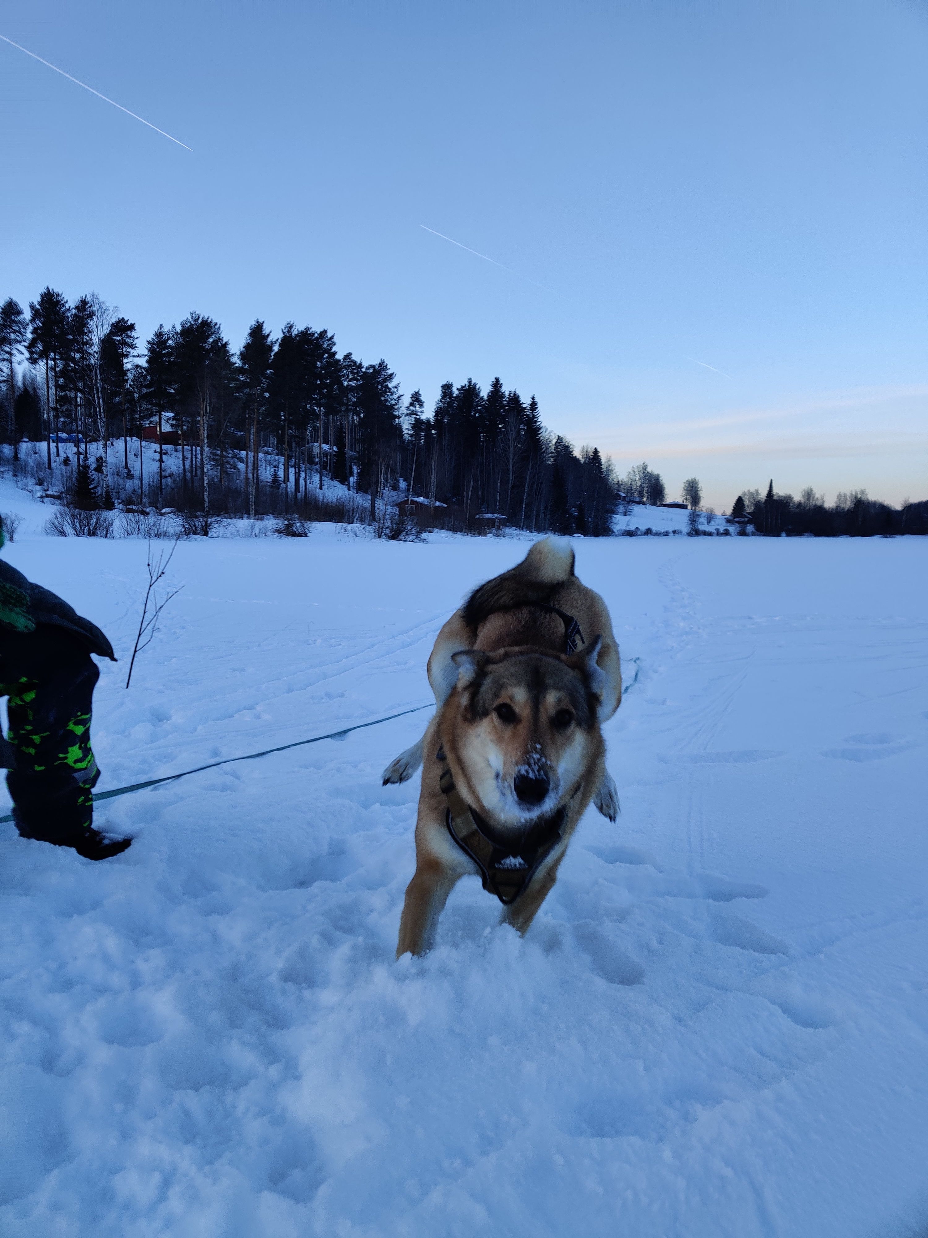 image-11