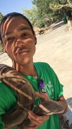 image-7