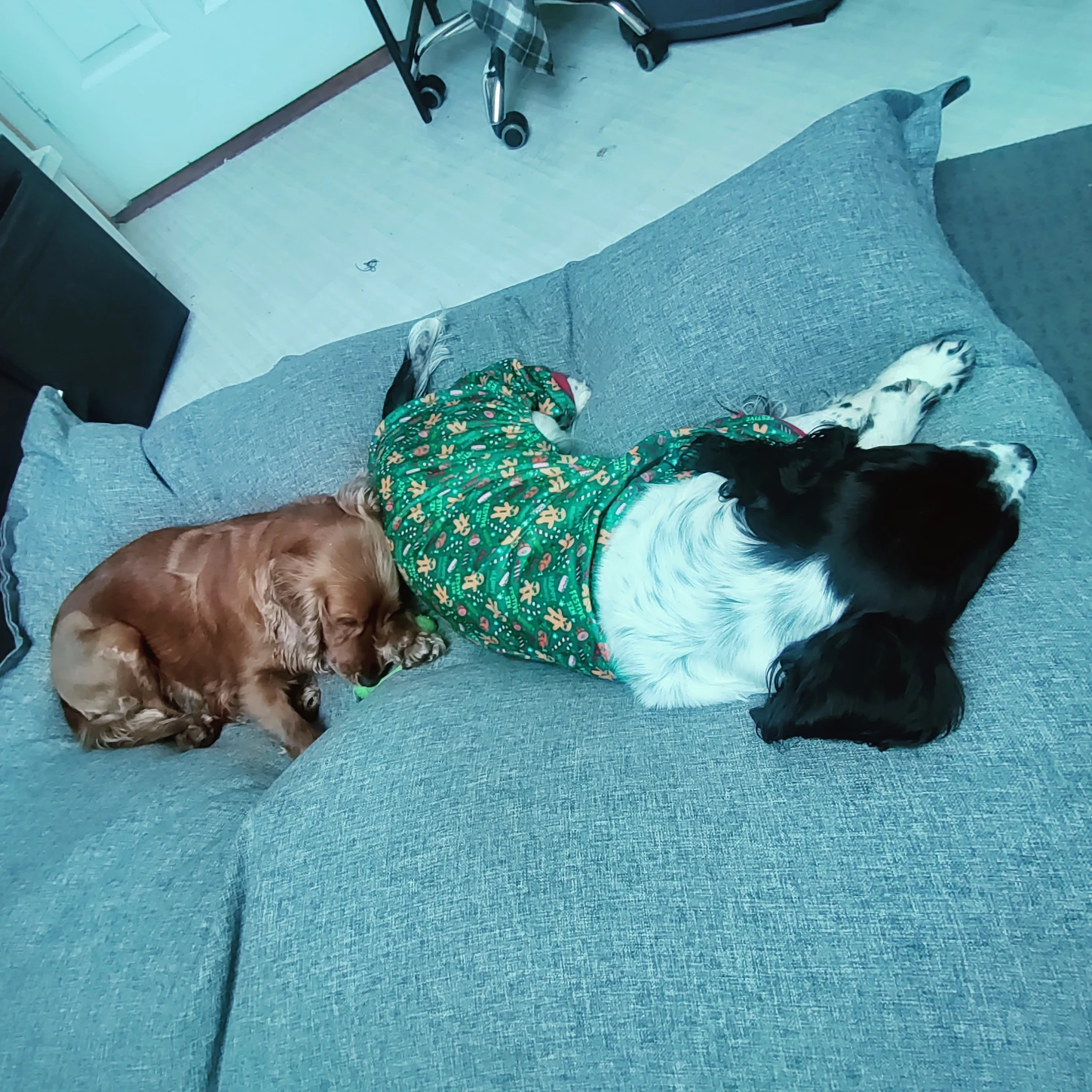 image-3