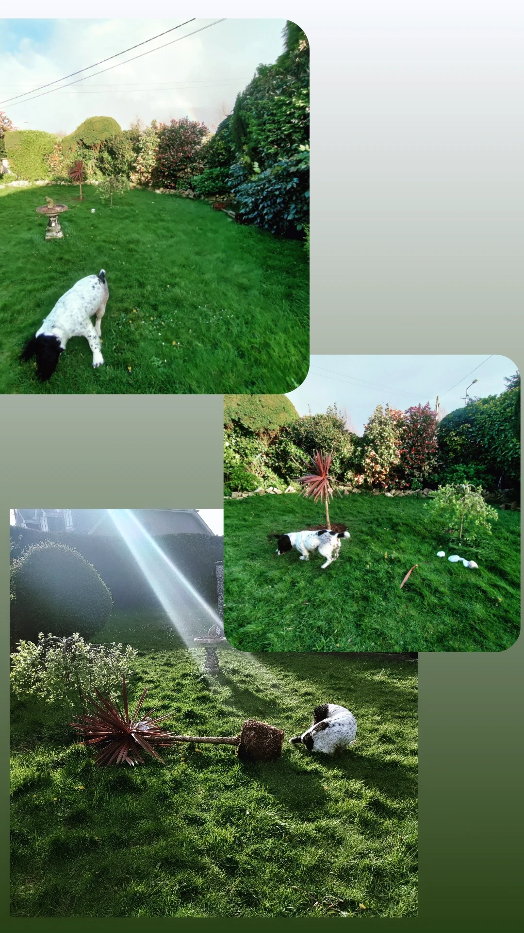 image-11