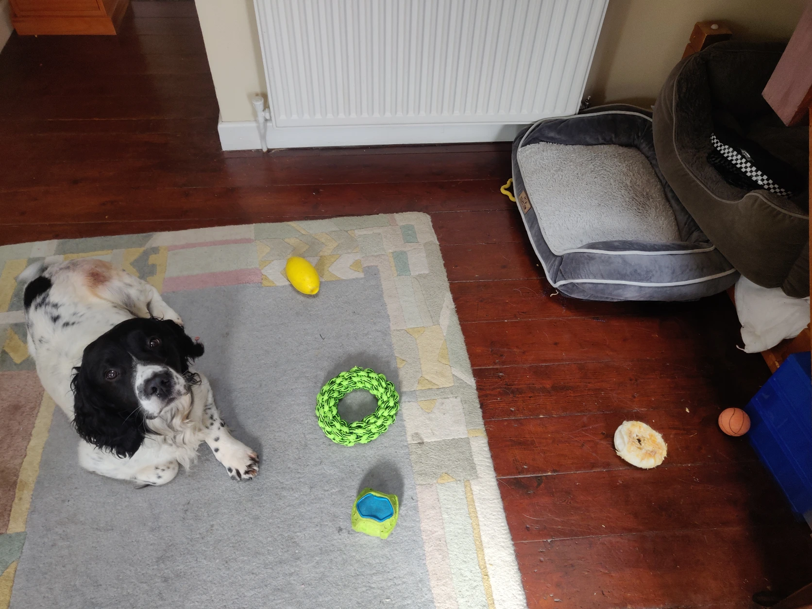 image-17