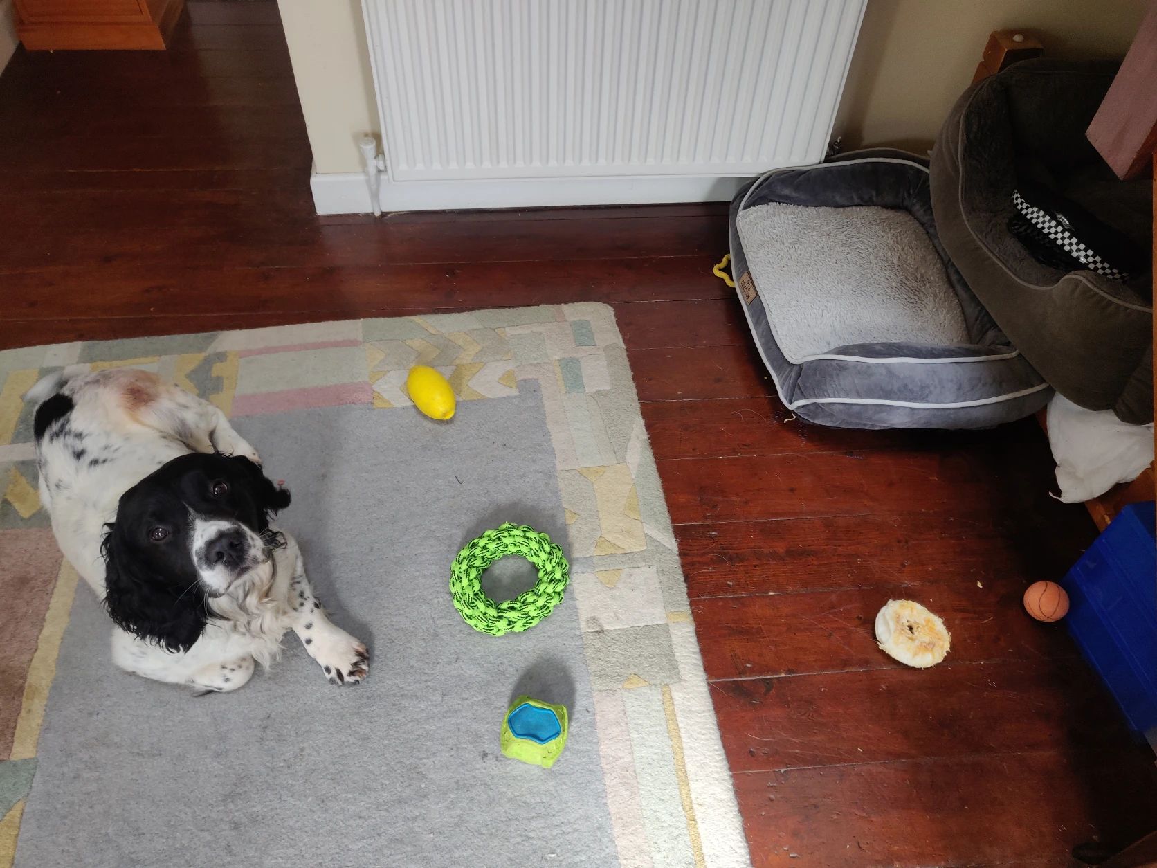 image-17