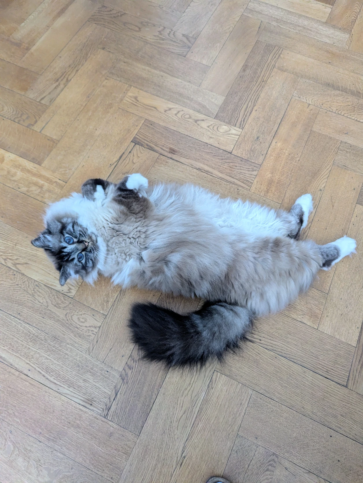image-6