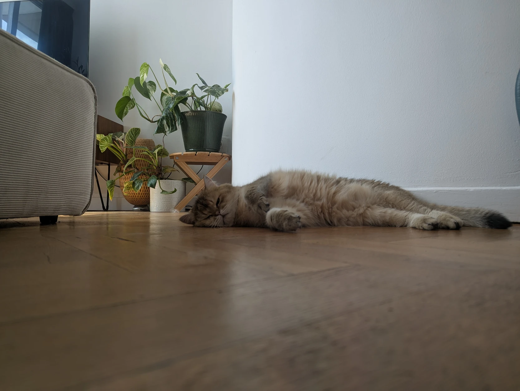 image-5