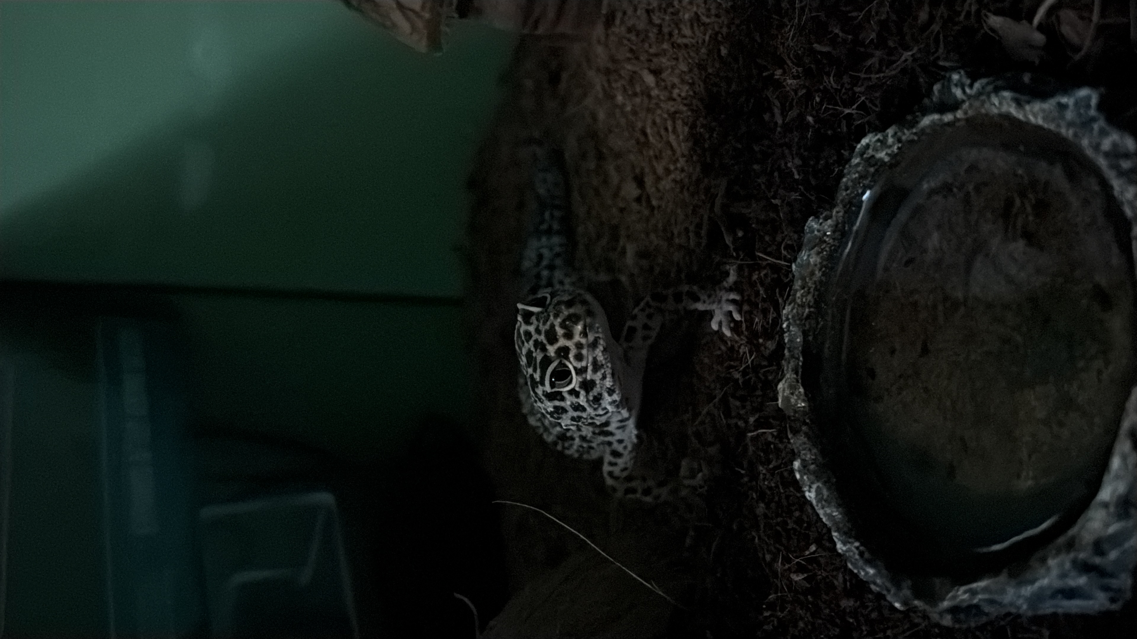 image-8