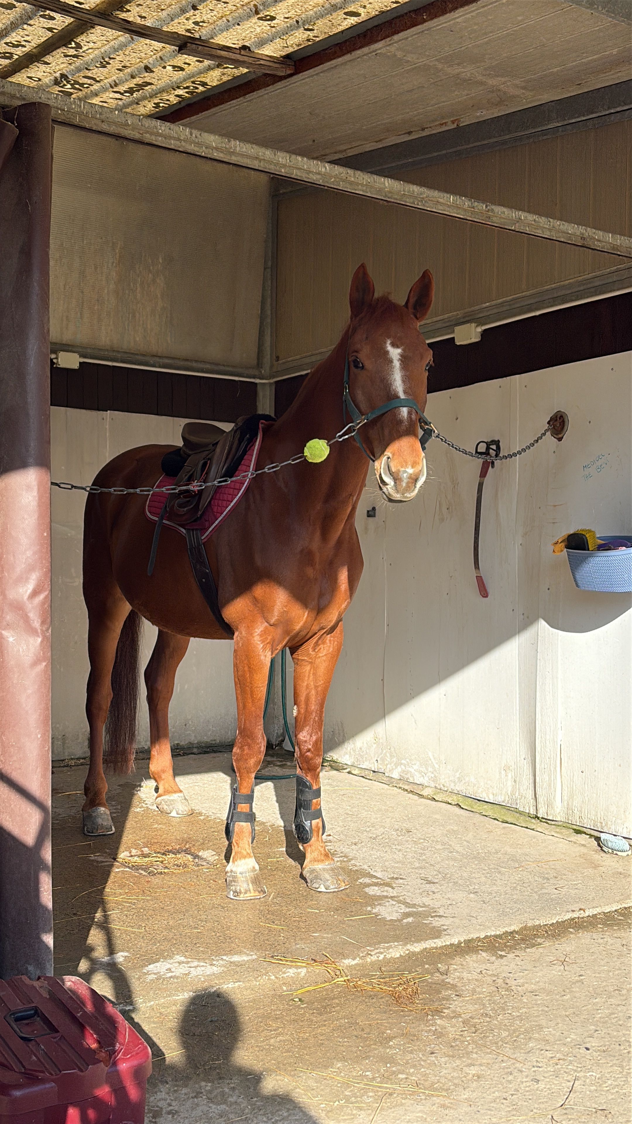 image-12