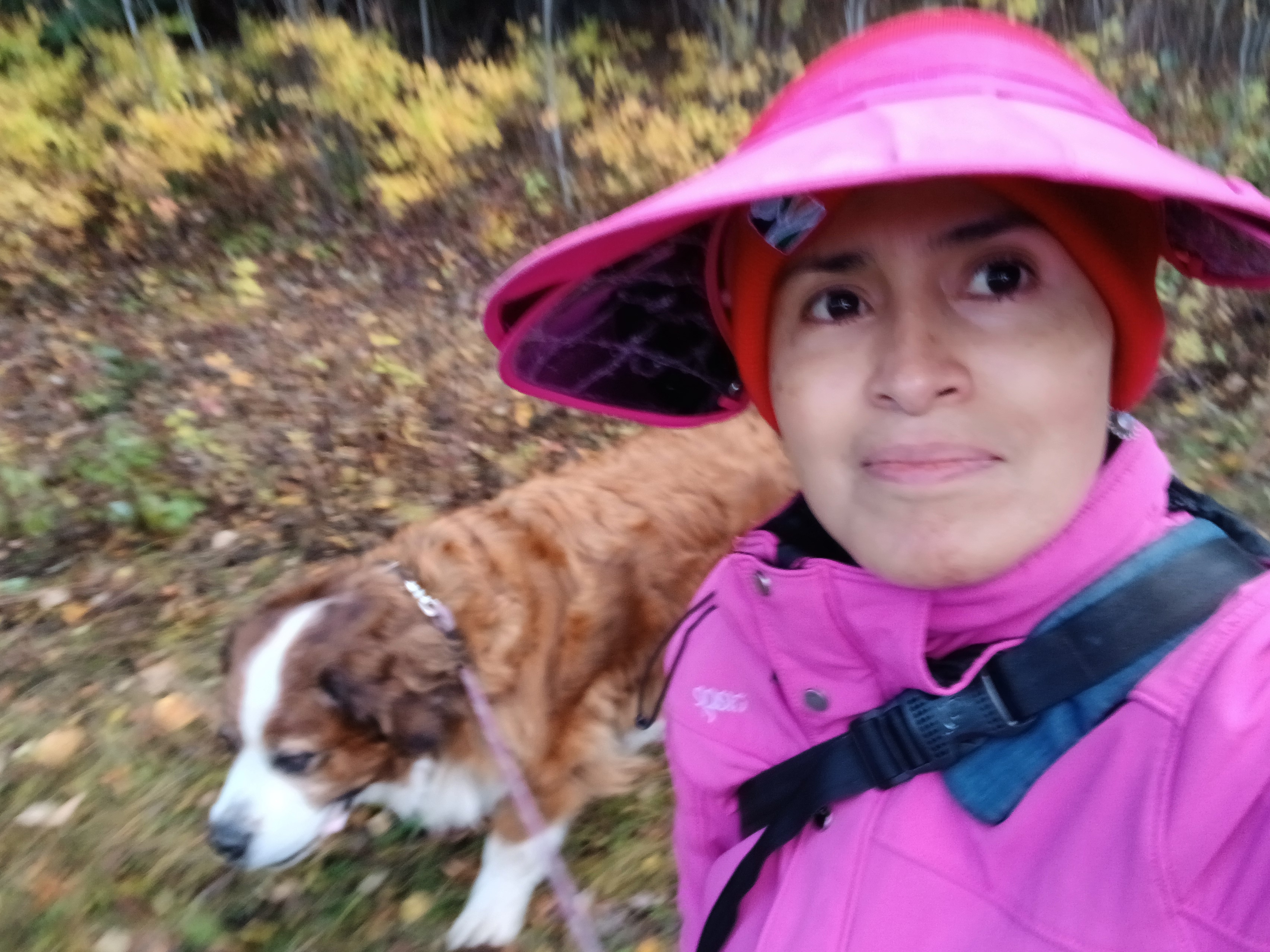 image-3
