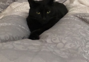 Kaia 
