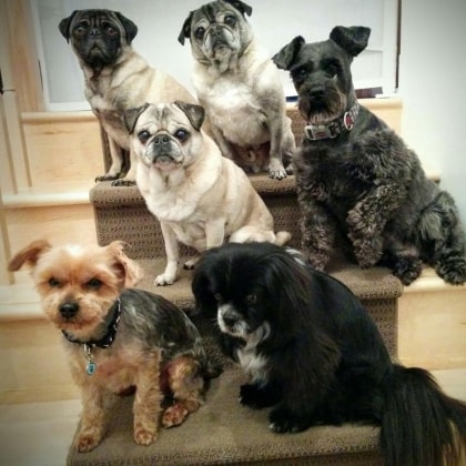 image-0