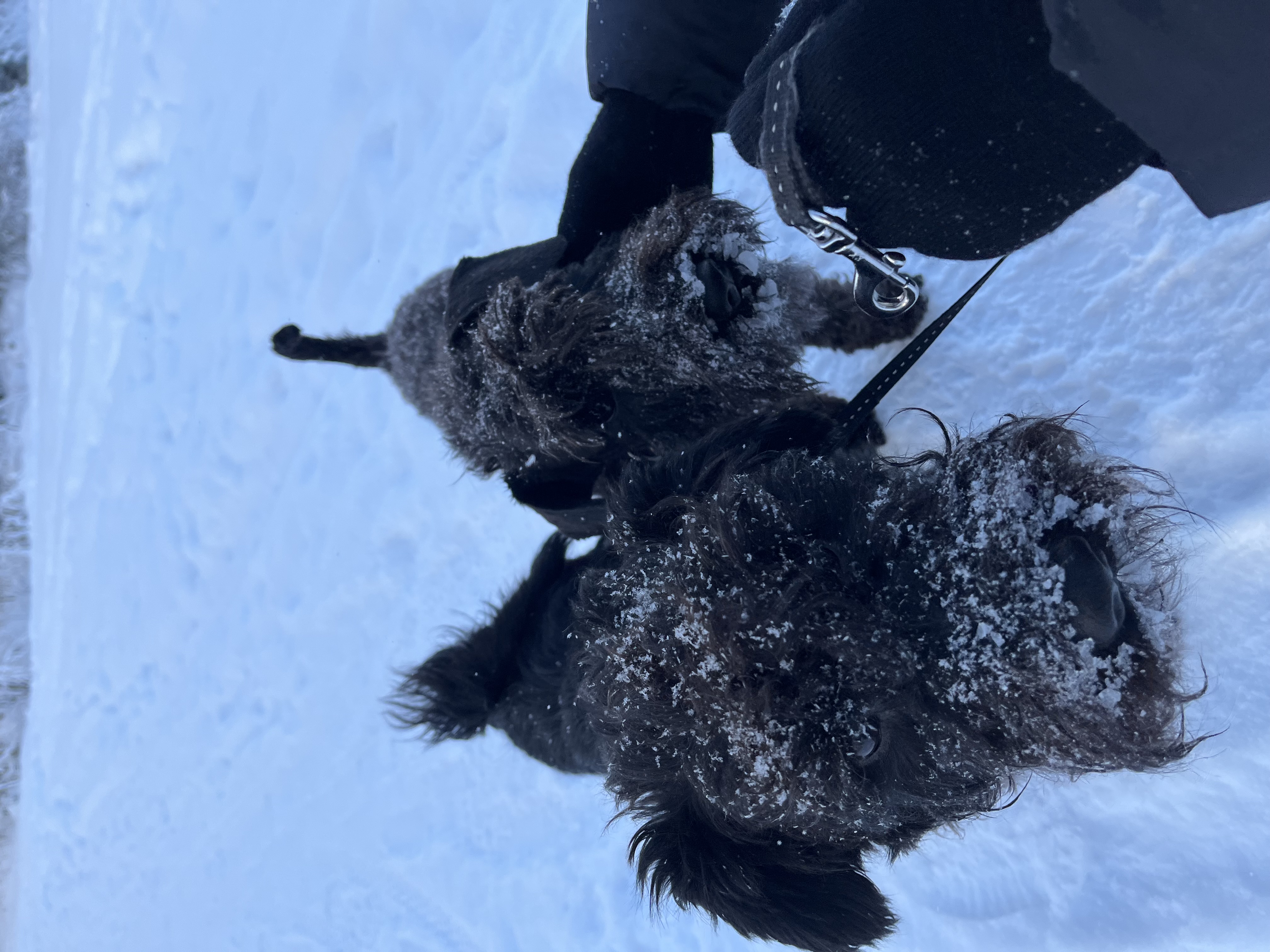 image-9