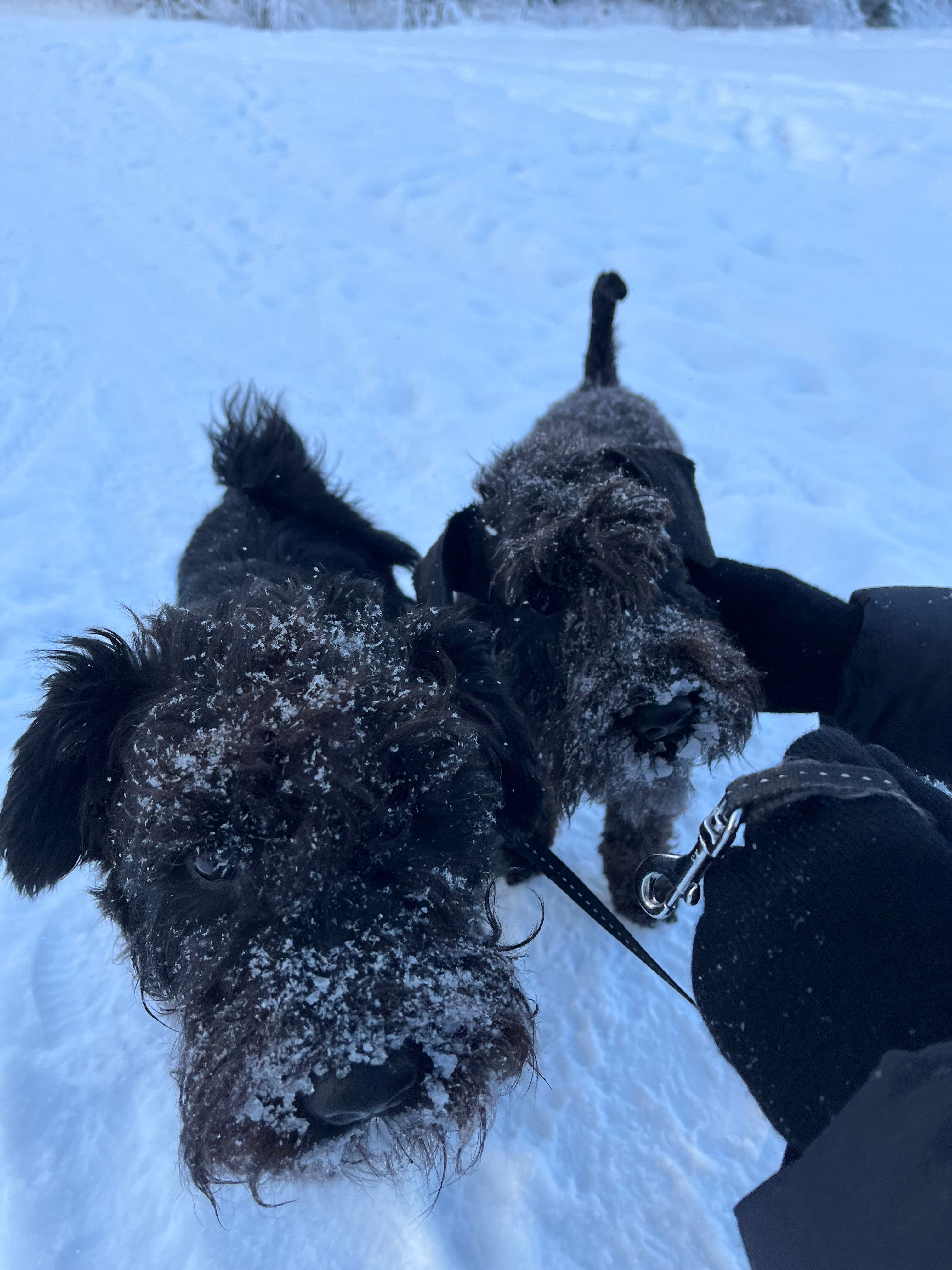 image-9