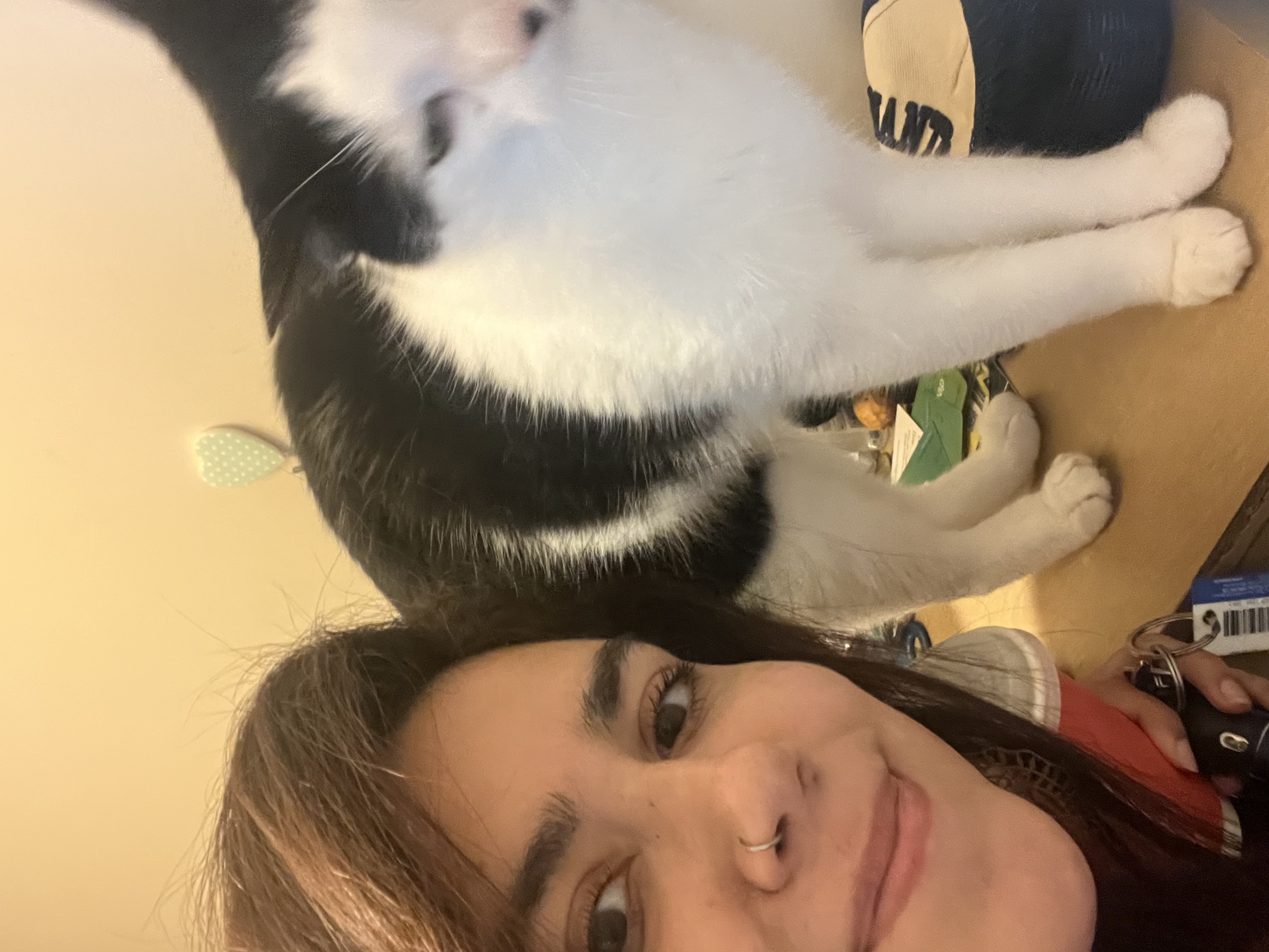 image-6