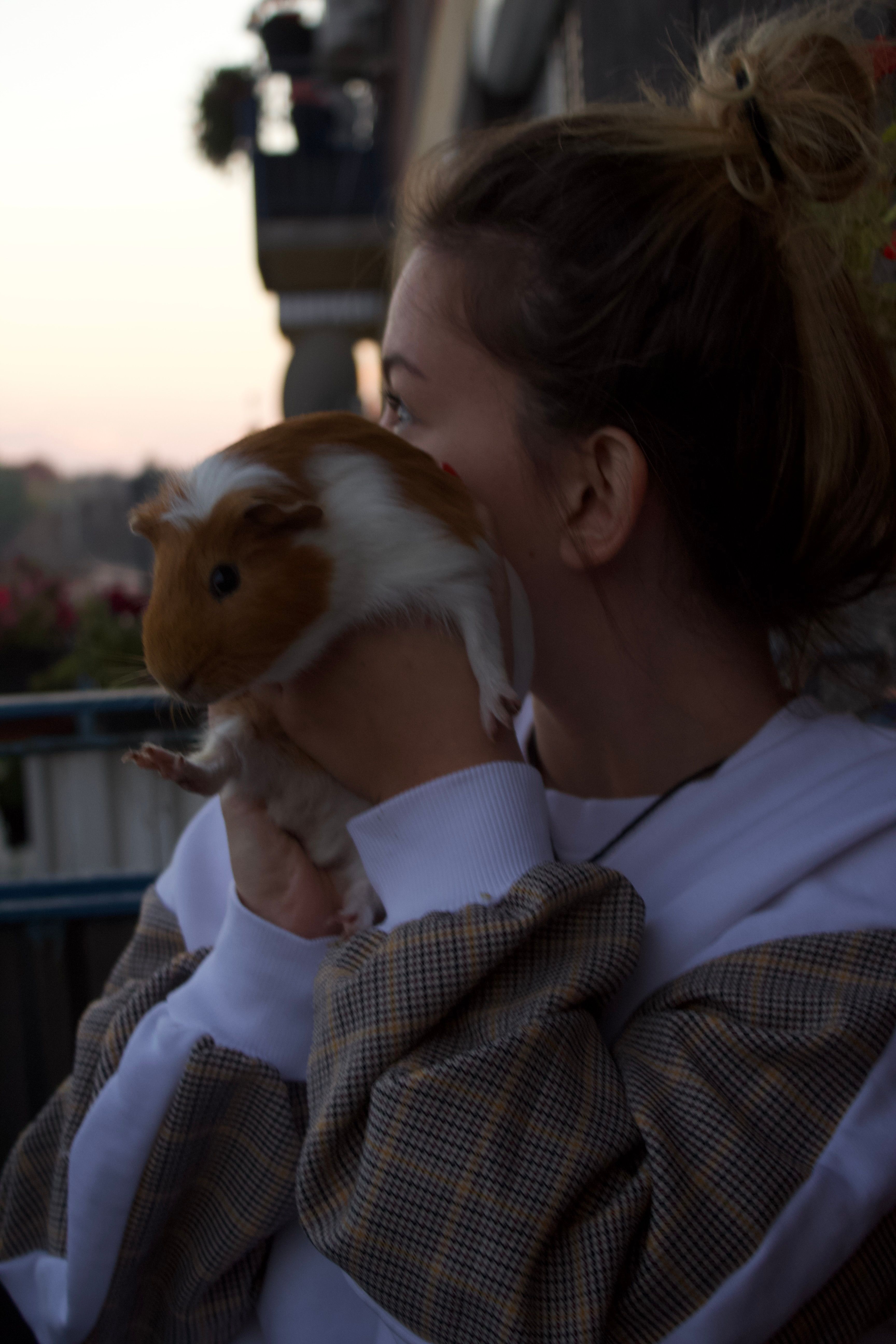 image-6