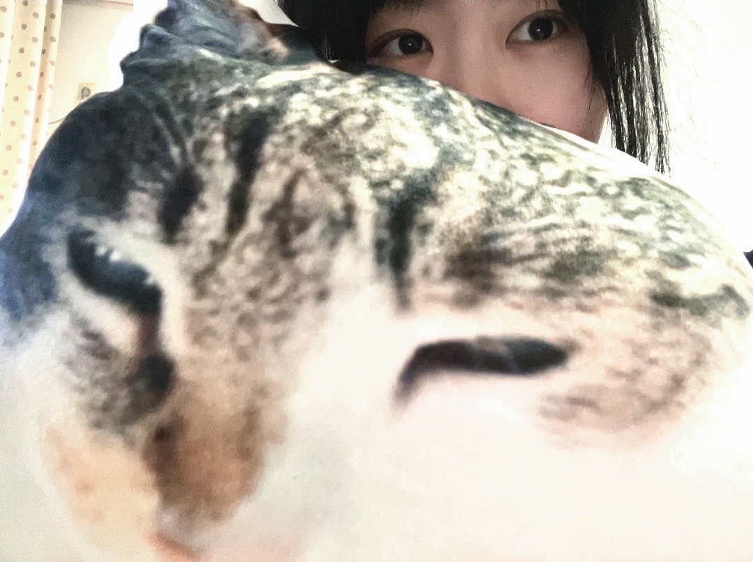 image-7